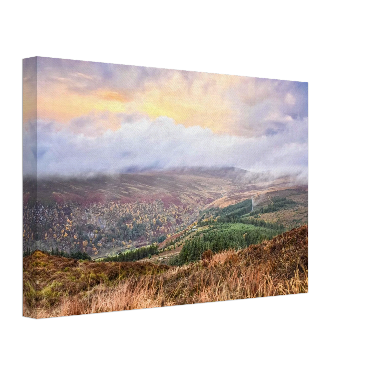 c7477f4d-3425-48f7-83a6-41386cfed9b0