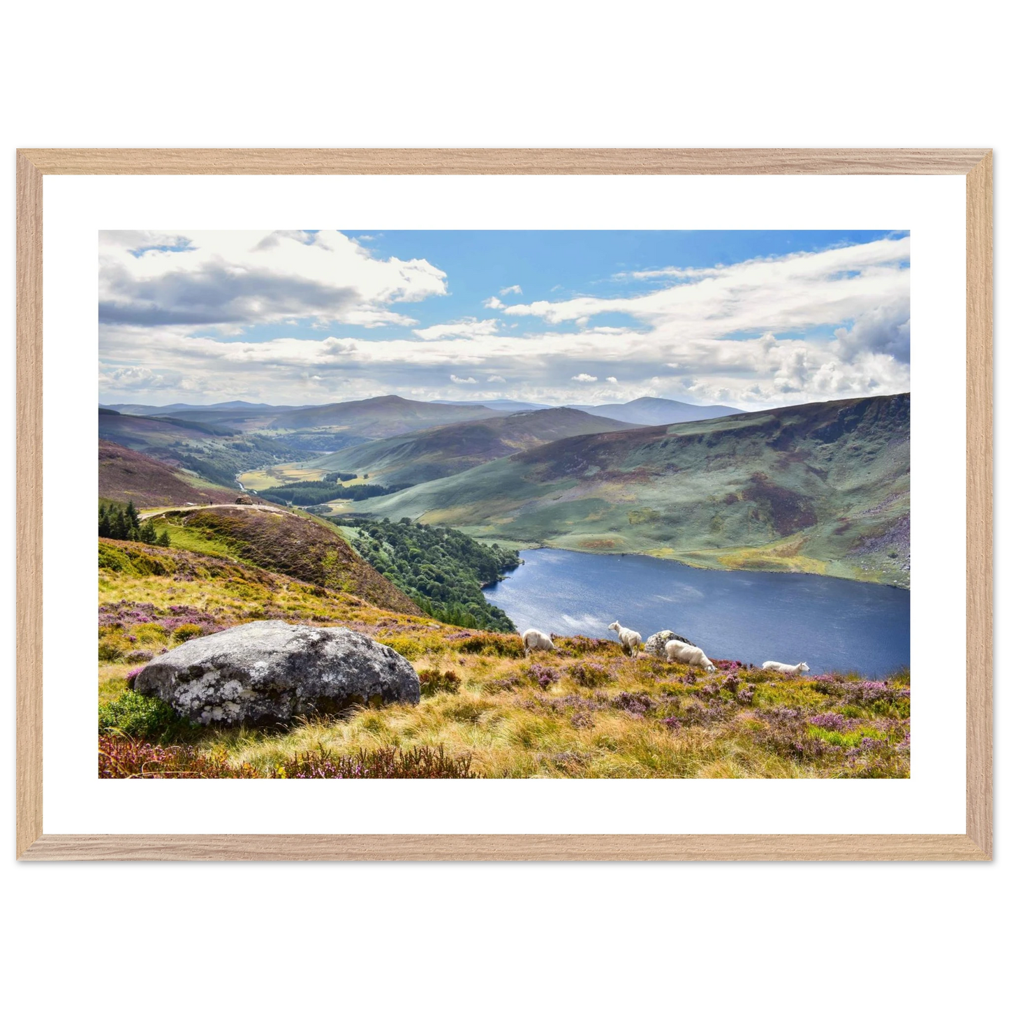 c781523d-091c-47a8-85b0-3422c5222d6f