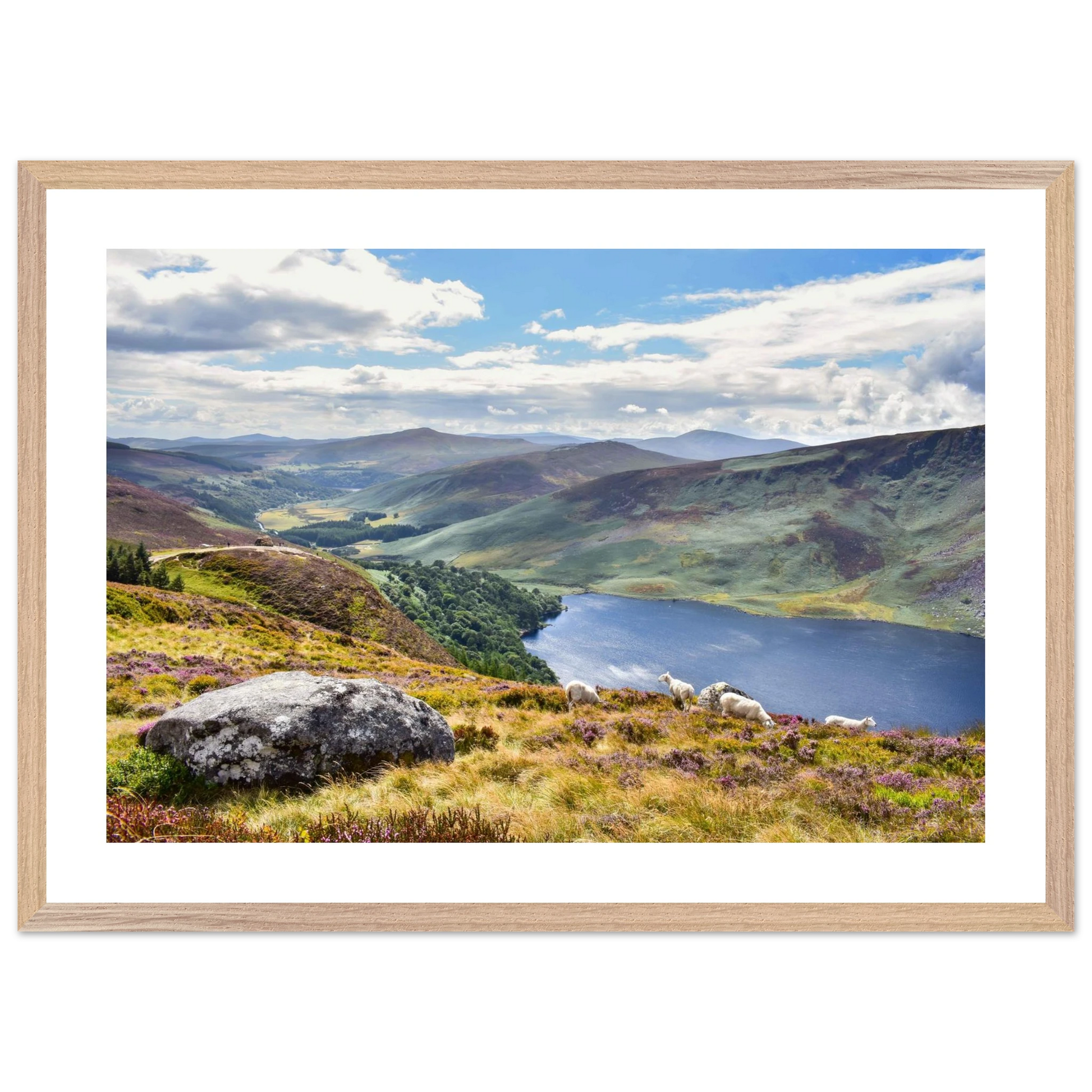 c781523d-091c-47a8-85b0-3422c5222d6f