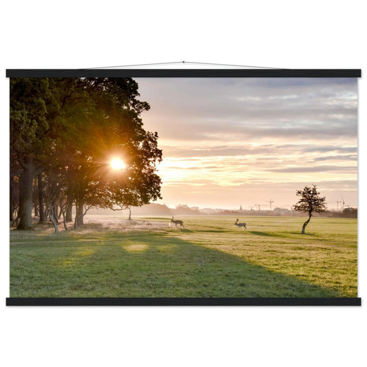 c79611dd-d441-45fe-ba1d-137c0f9d5134