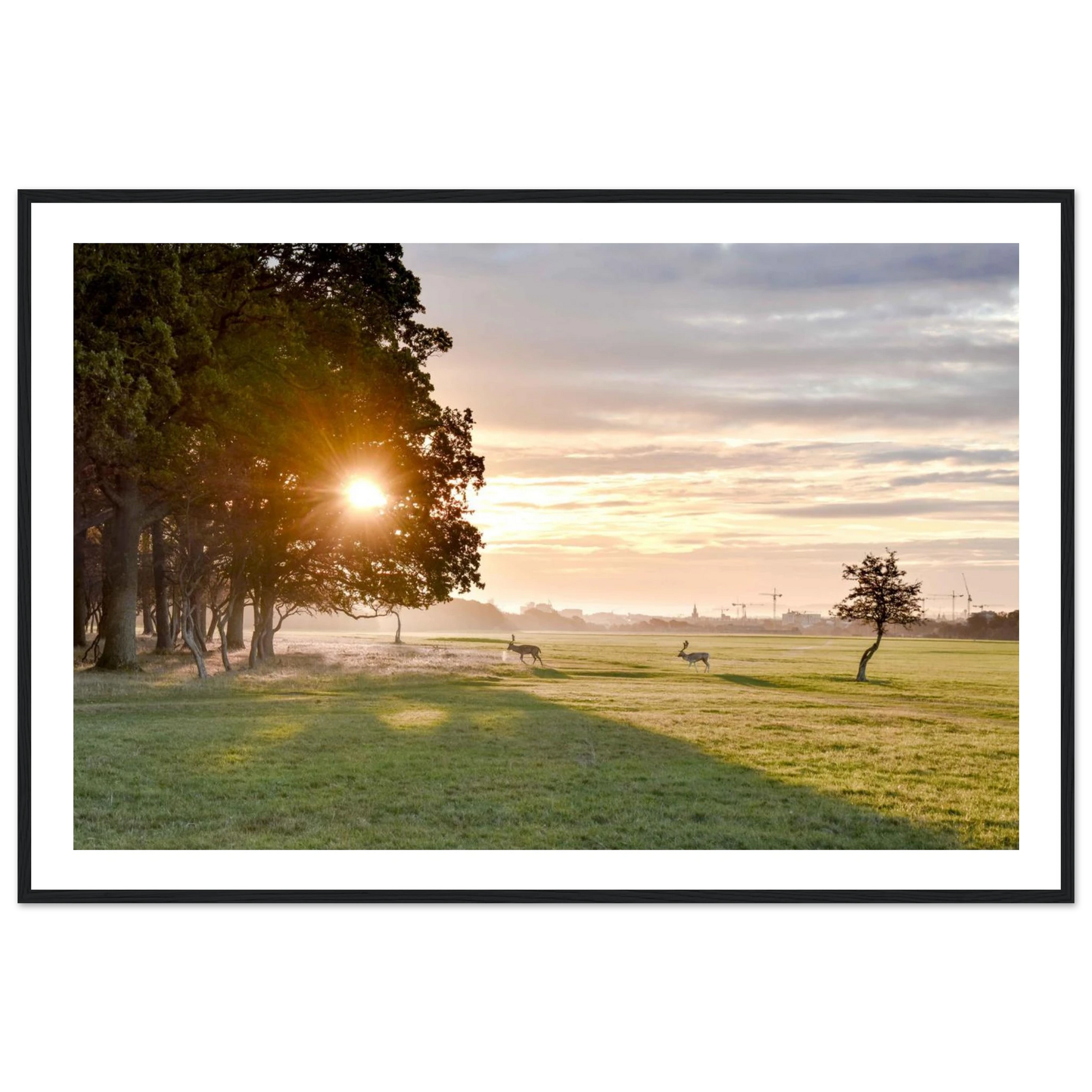 c7aca364-bd7b-420c-a51a-ac0da6874501