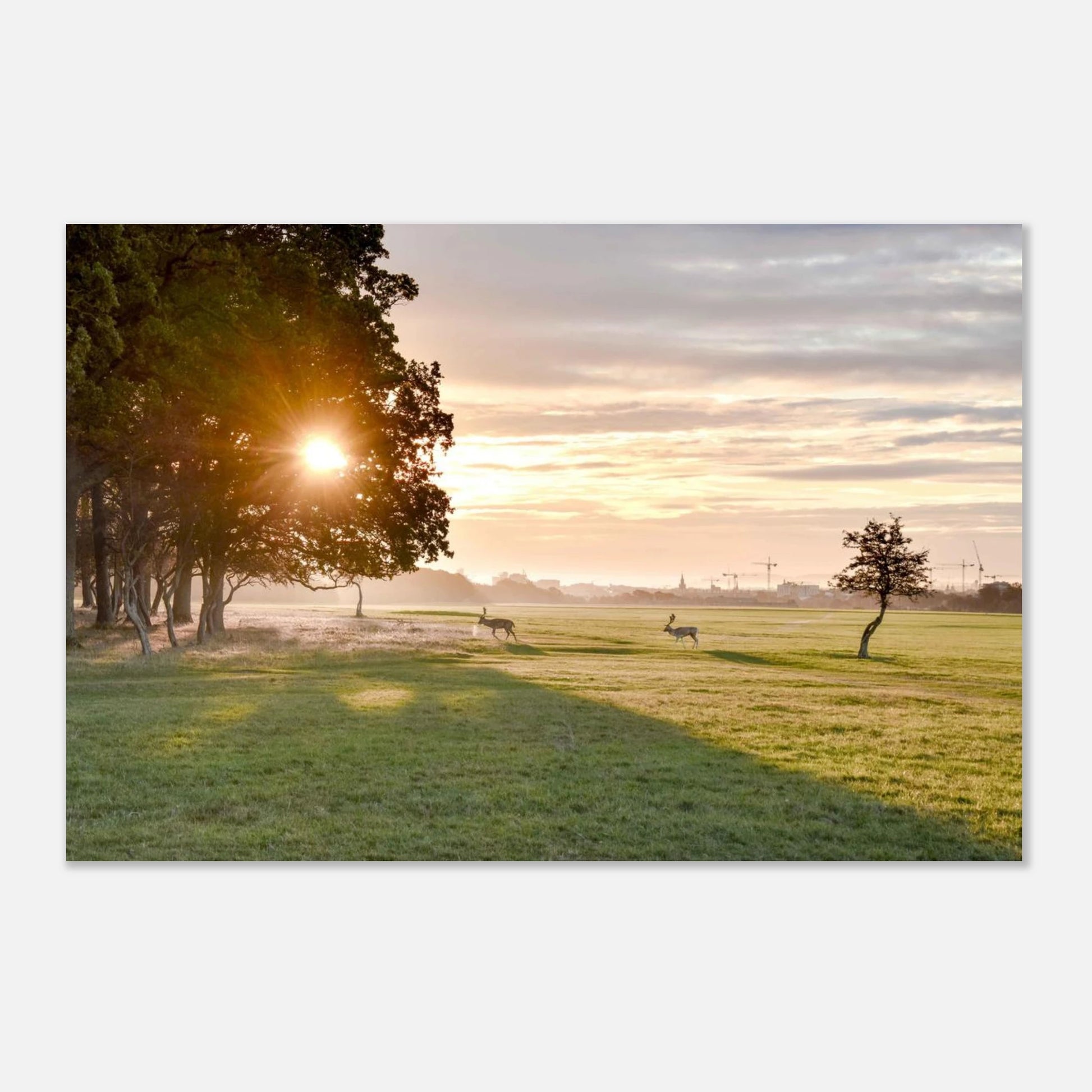 c7b947c5-cd08-47af-9ead-6288ef5cb8be