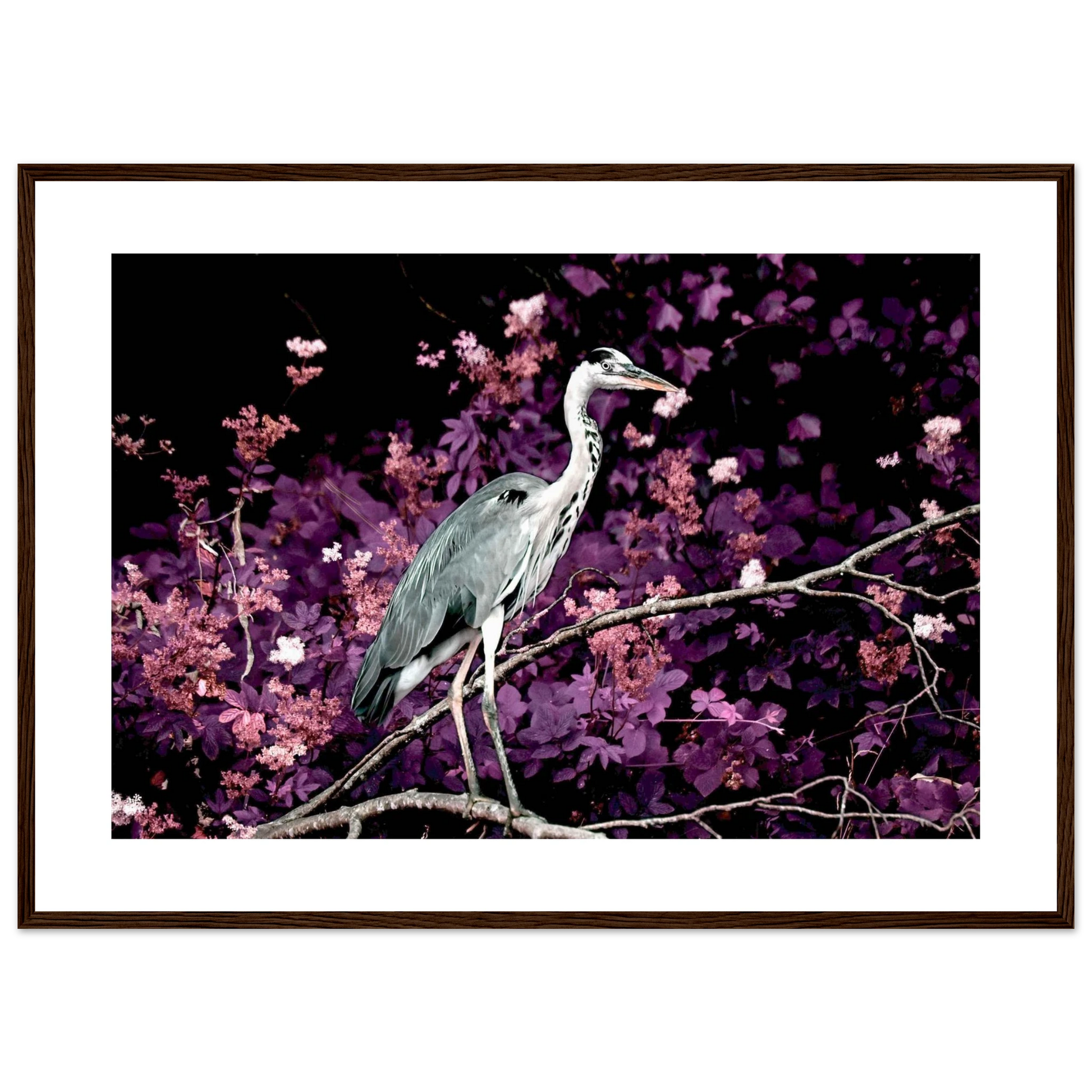 c7c63c78-7d13-4714-9cd2-609591a1d22a