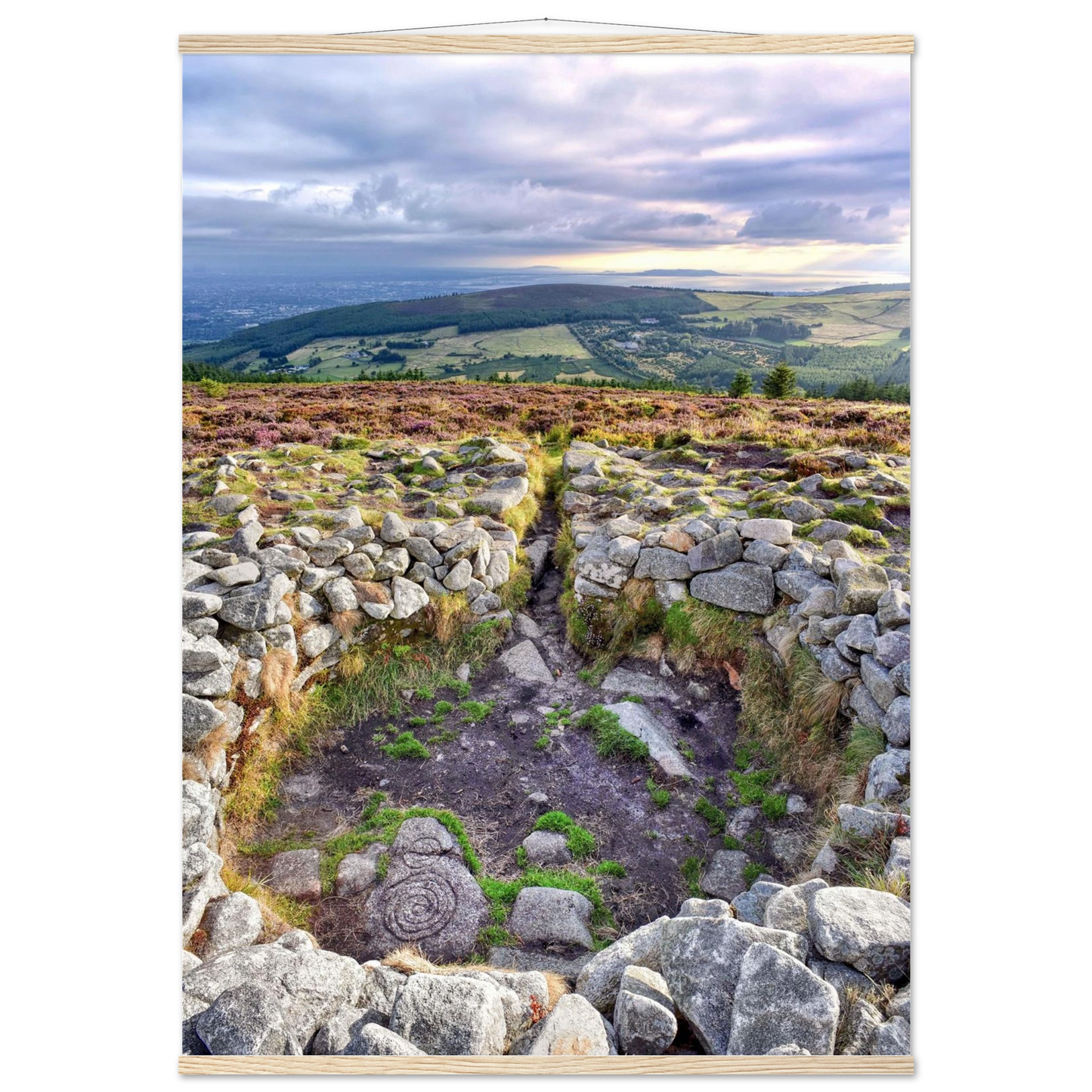 c801dfd4-a964-43cd-a0bf-d547b3fc7527