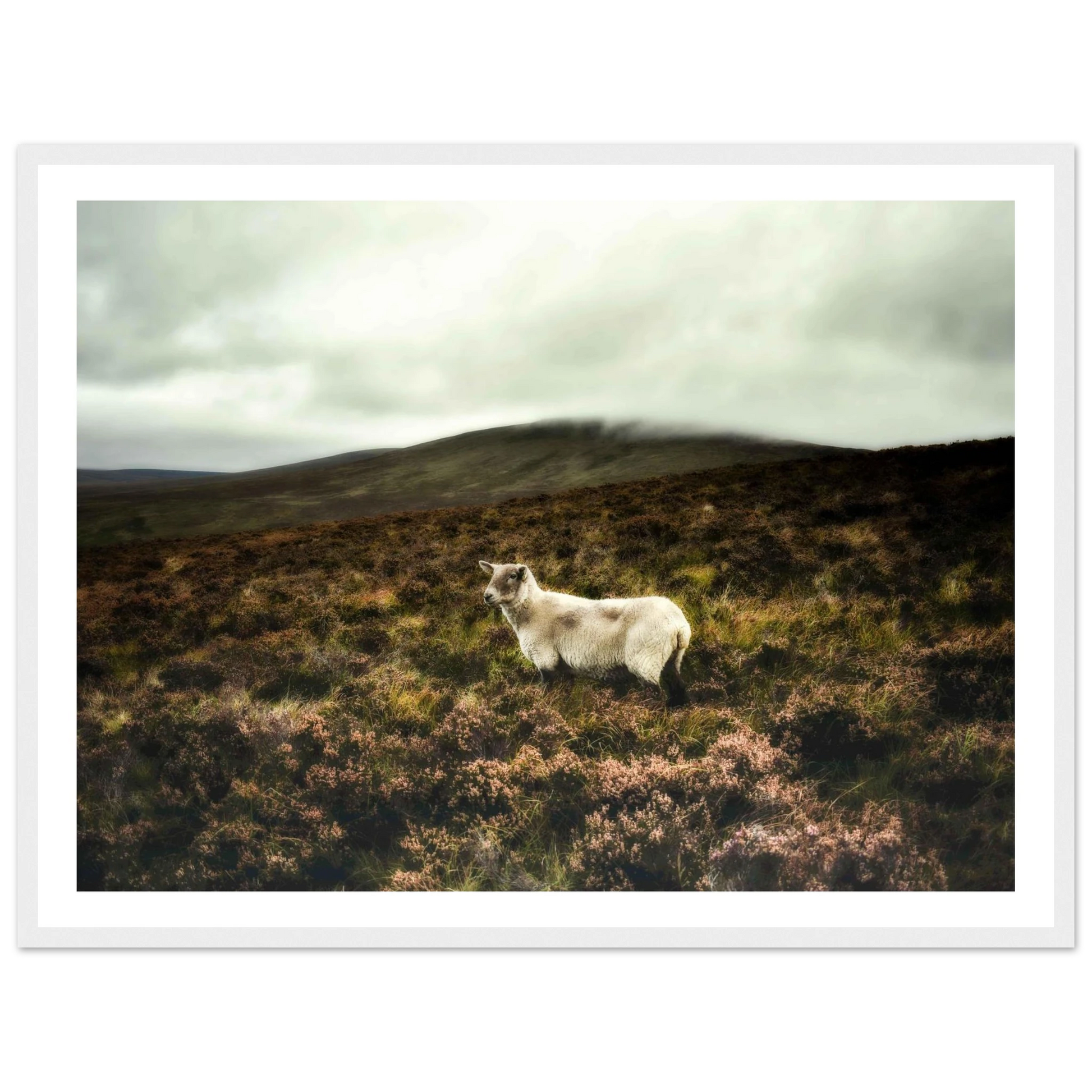 c8bd34c1-48e9-4402-b7e9-1dcda17d9702