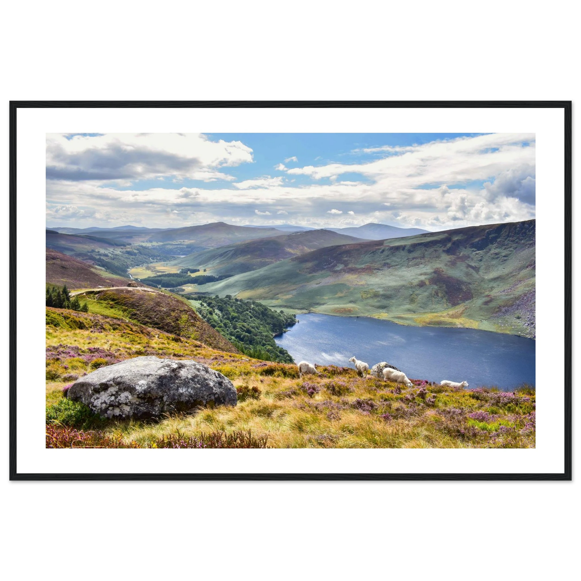 c909b30e-929d-431b-be9d-6af2ce050a24