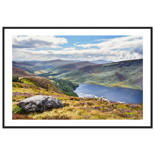 c909b30e-929d-431b-be9d-6af2ce050a24