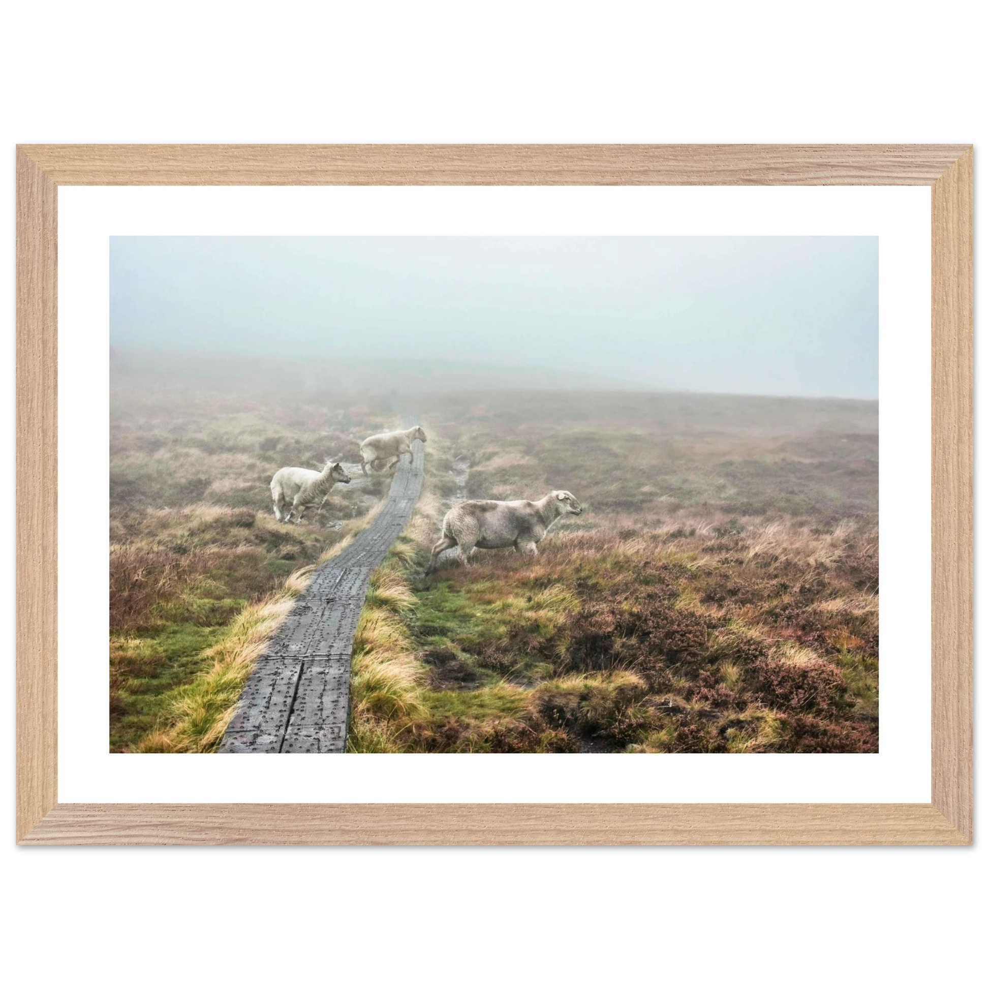 c92a43e4-ca46-4a6b-a72f-a66f95a1de40