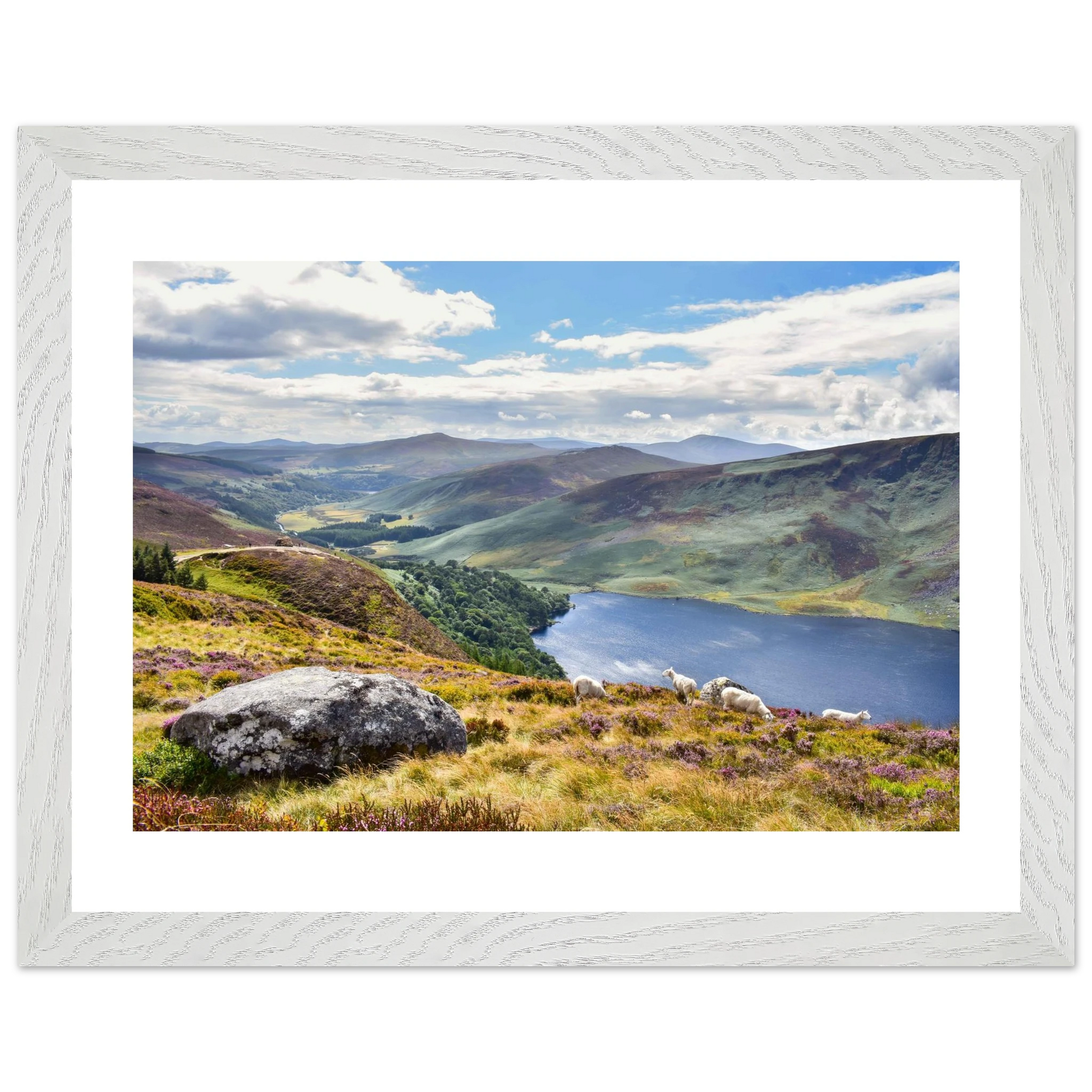 c9430f9f-7ce4-4266-b34a-bf06af4010ec