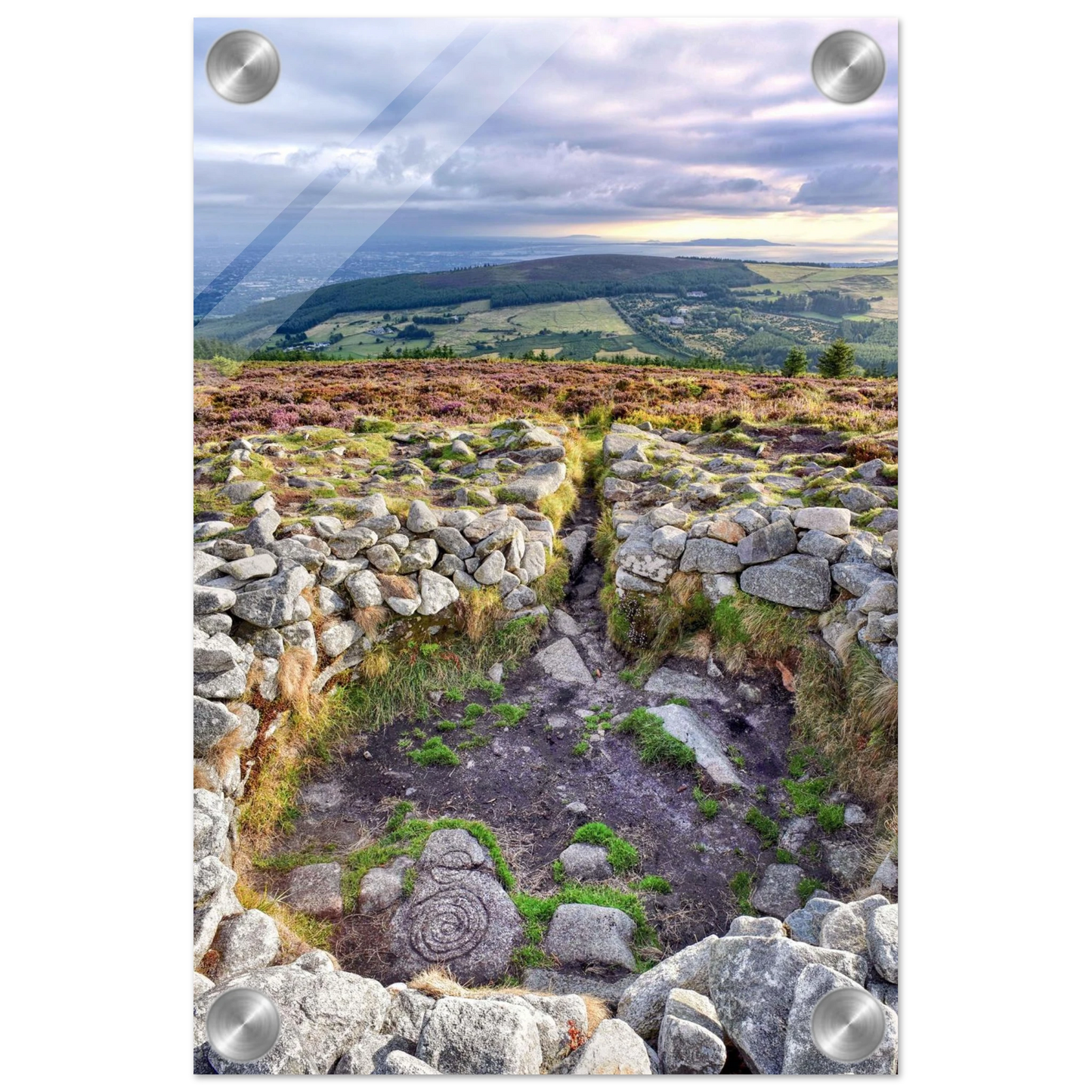 c95656f0-67f8-4782-8e79-8dc1280db5ca