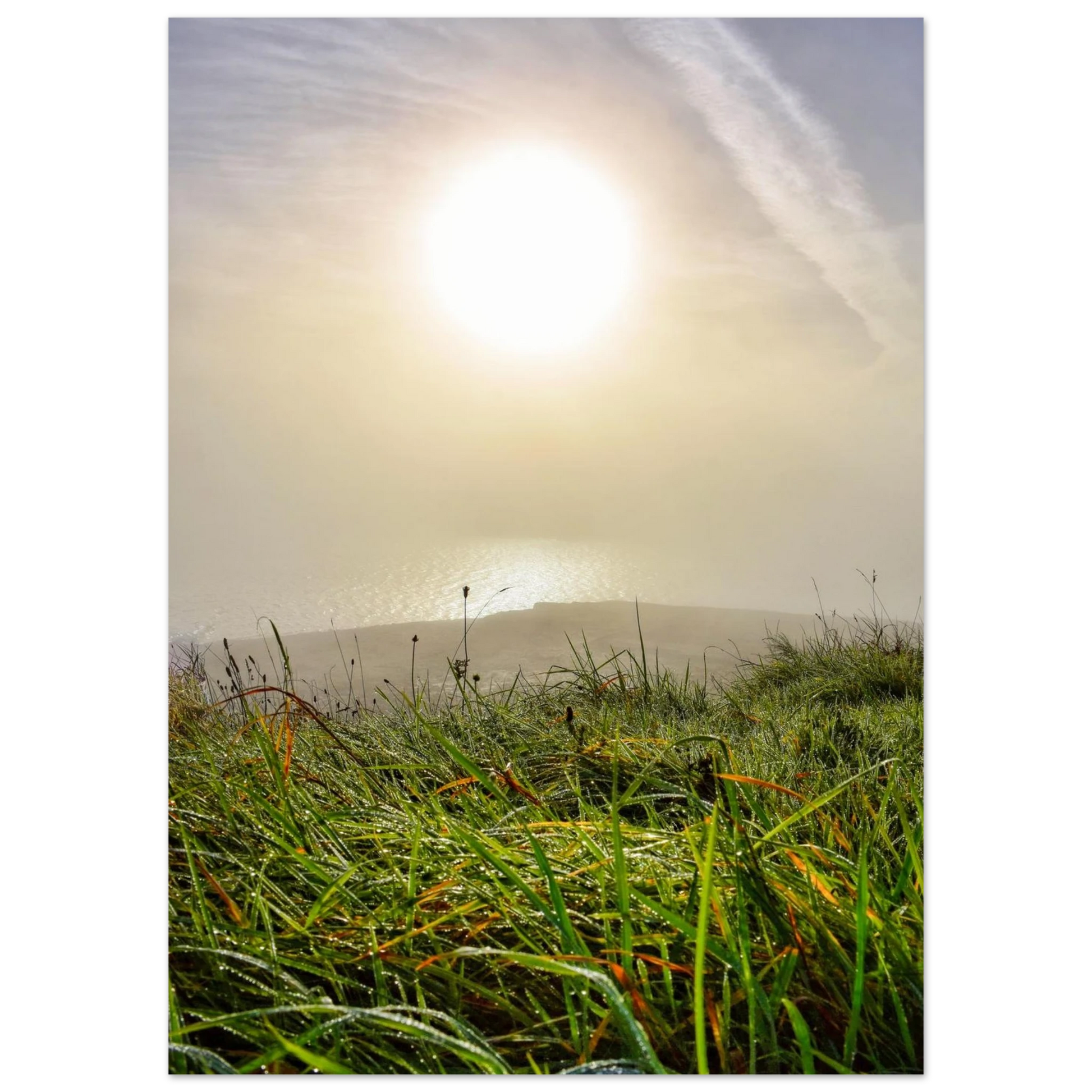 ca304df0-41b8-4c55-a083-b5fc7d4e96a9