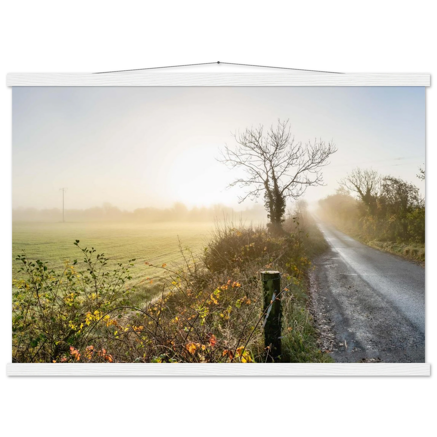 cad264d4-f408-420e-b435-49ff2e6c9093