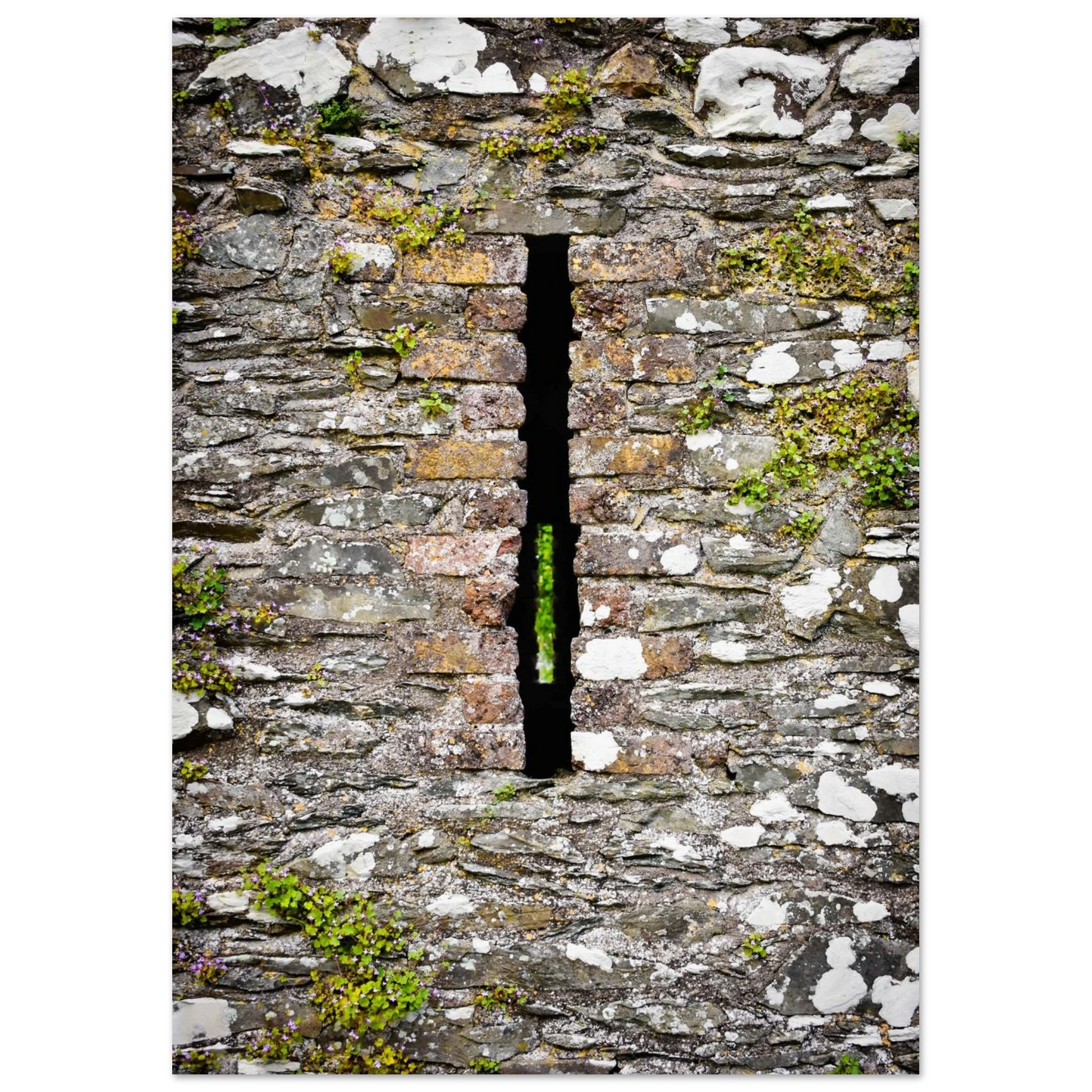 caf1eea9-80d1-4a64-bdd4-0afb2b2787c9