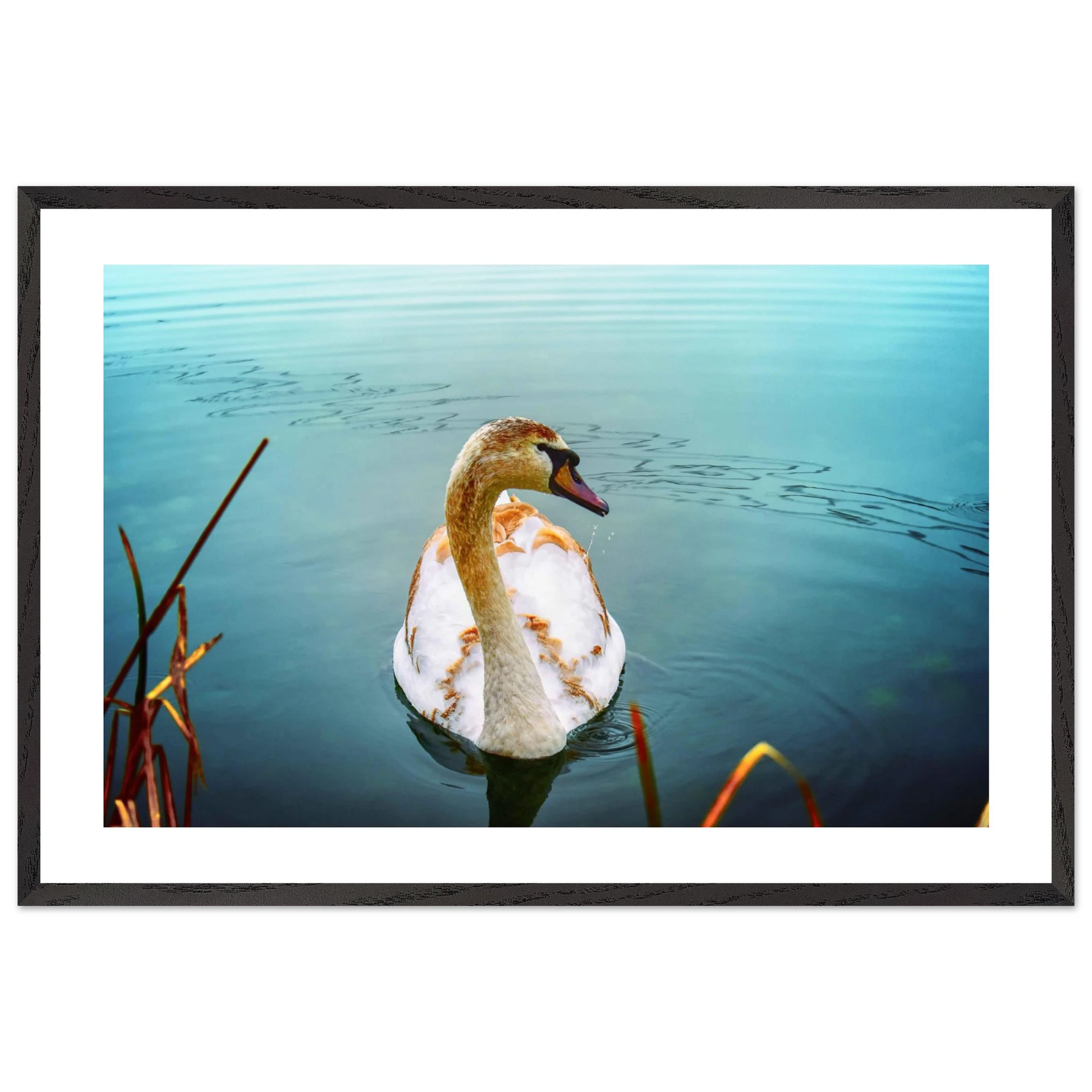 cb1d27ba-0e7a-4c10-947c-f734411a4511