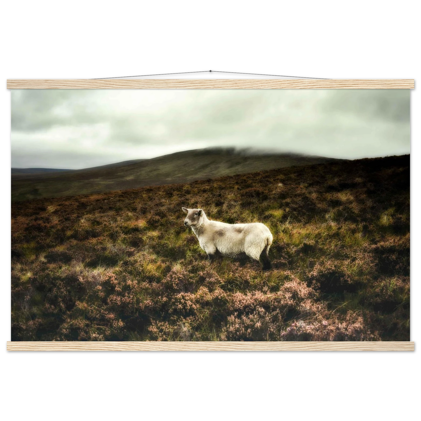 cb695acf-0e60-4300-8e96-ef315ac1db23