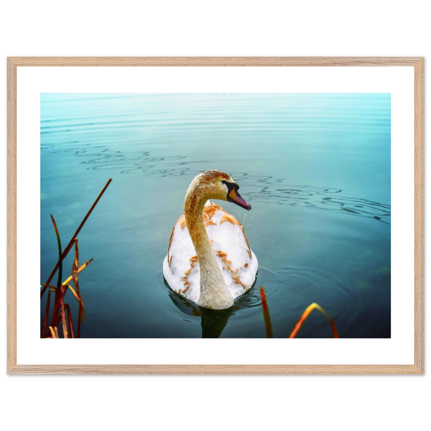 cb9bdcf9-b59f-4bb0-82e3-6813cdc12f95