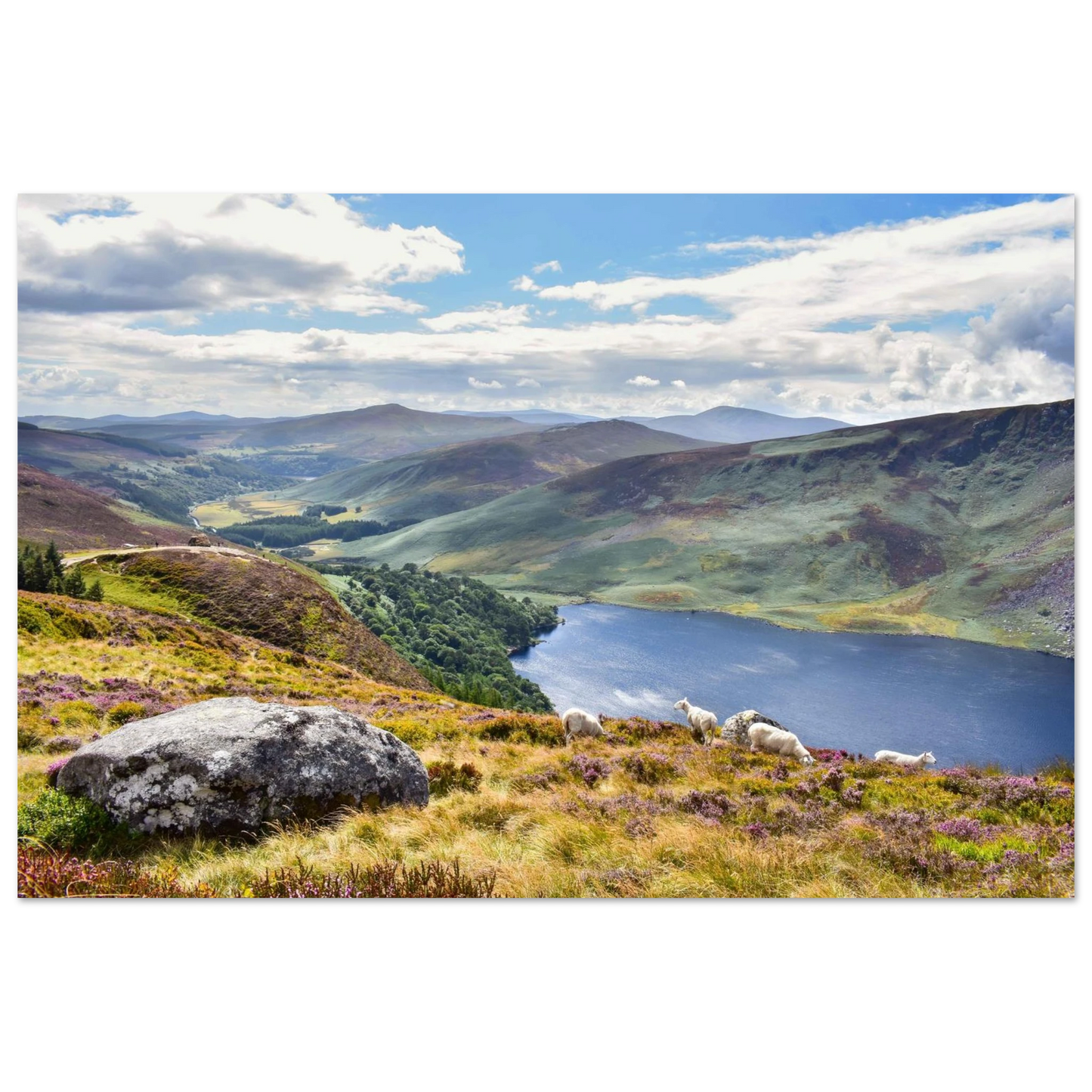 cbe4ab05-bd11-4d12-b382-ea03d8d2c9b0