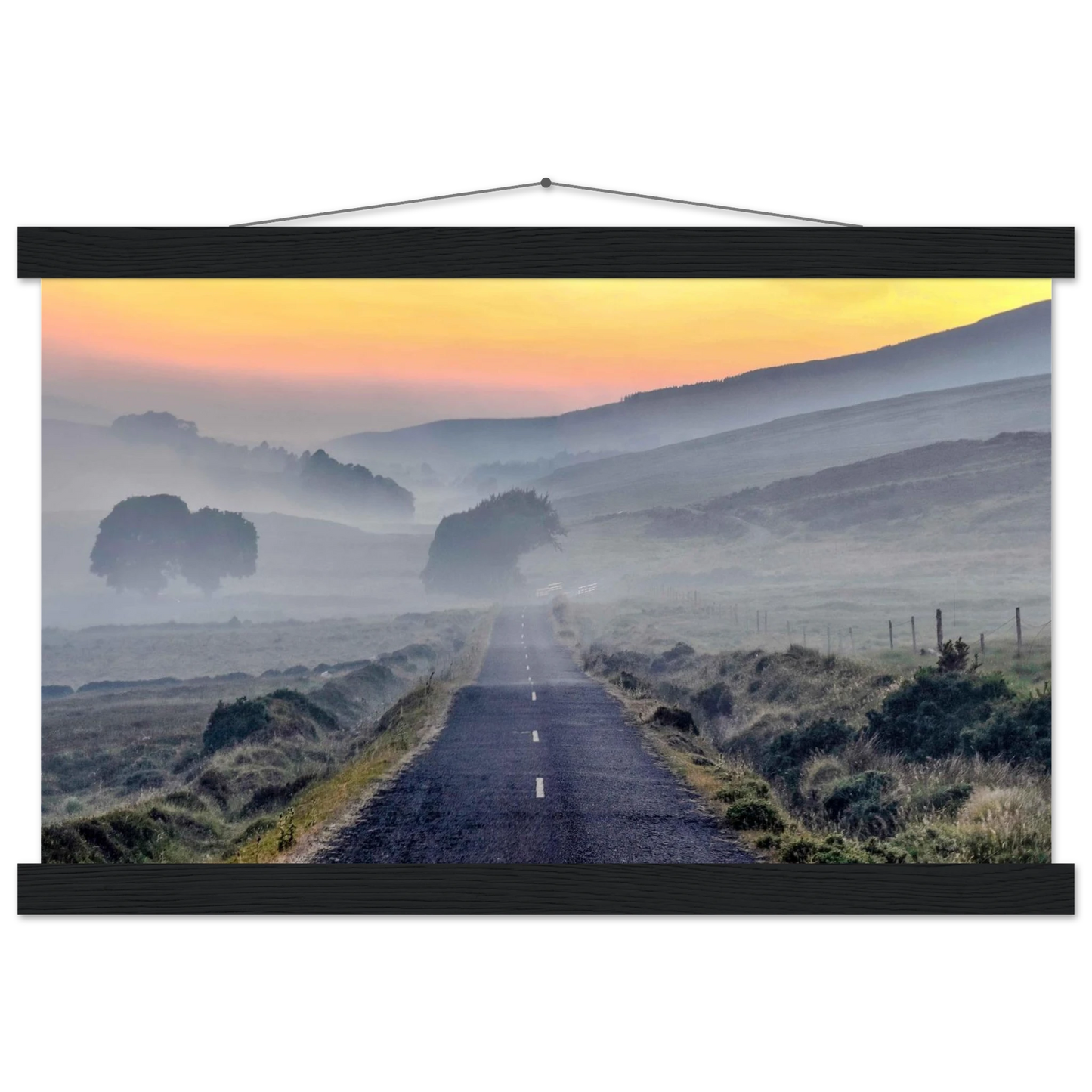 cc1a20b7-c674-46d1-8a8a-27b0ee66b589