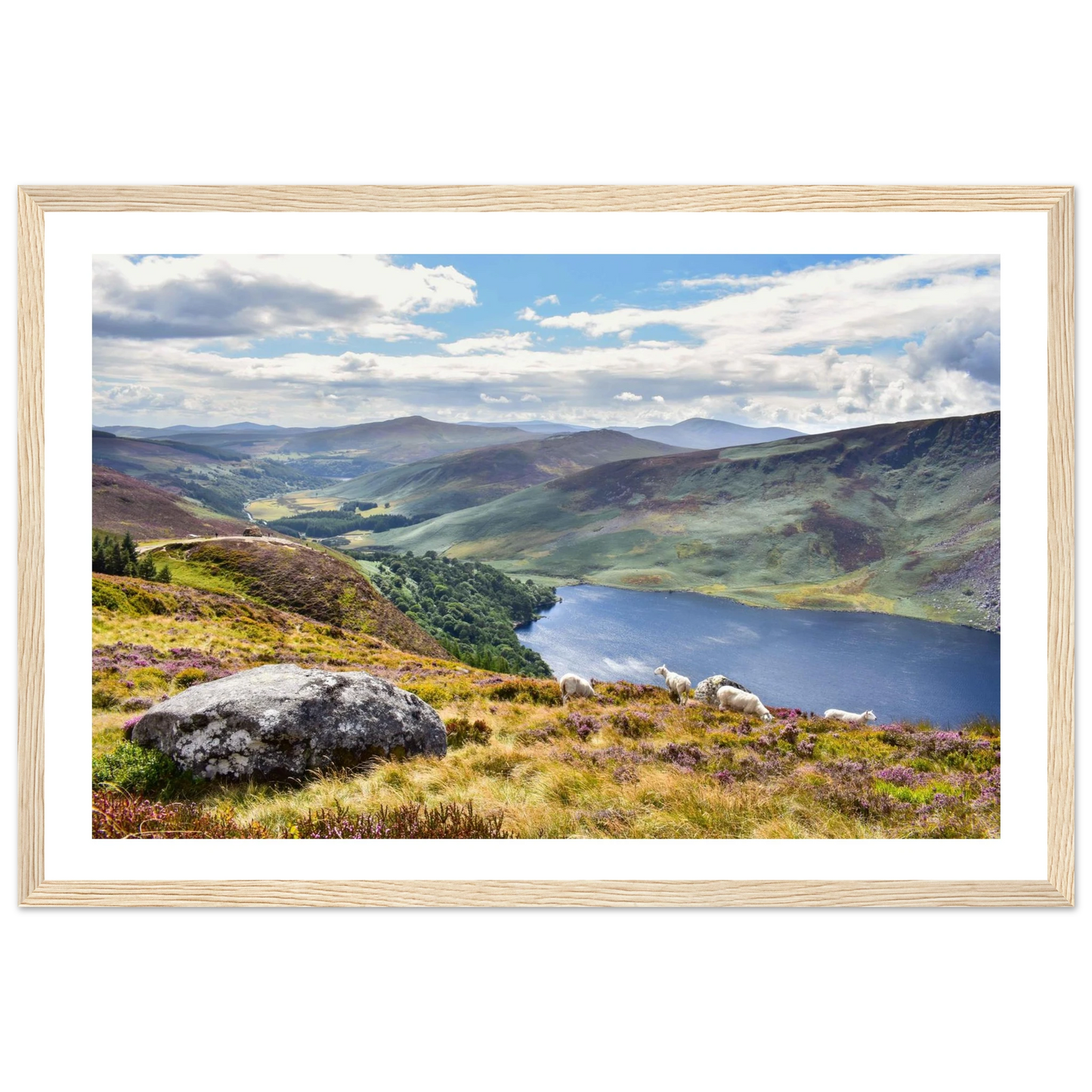 cc366572-0636-4ae7-bba5-23e63da13dbe