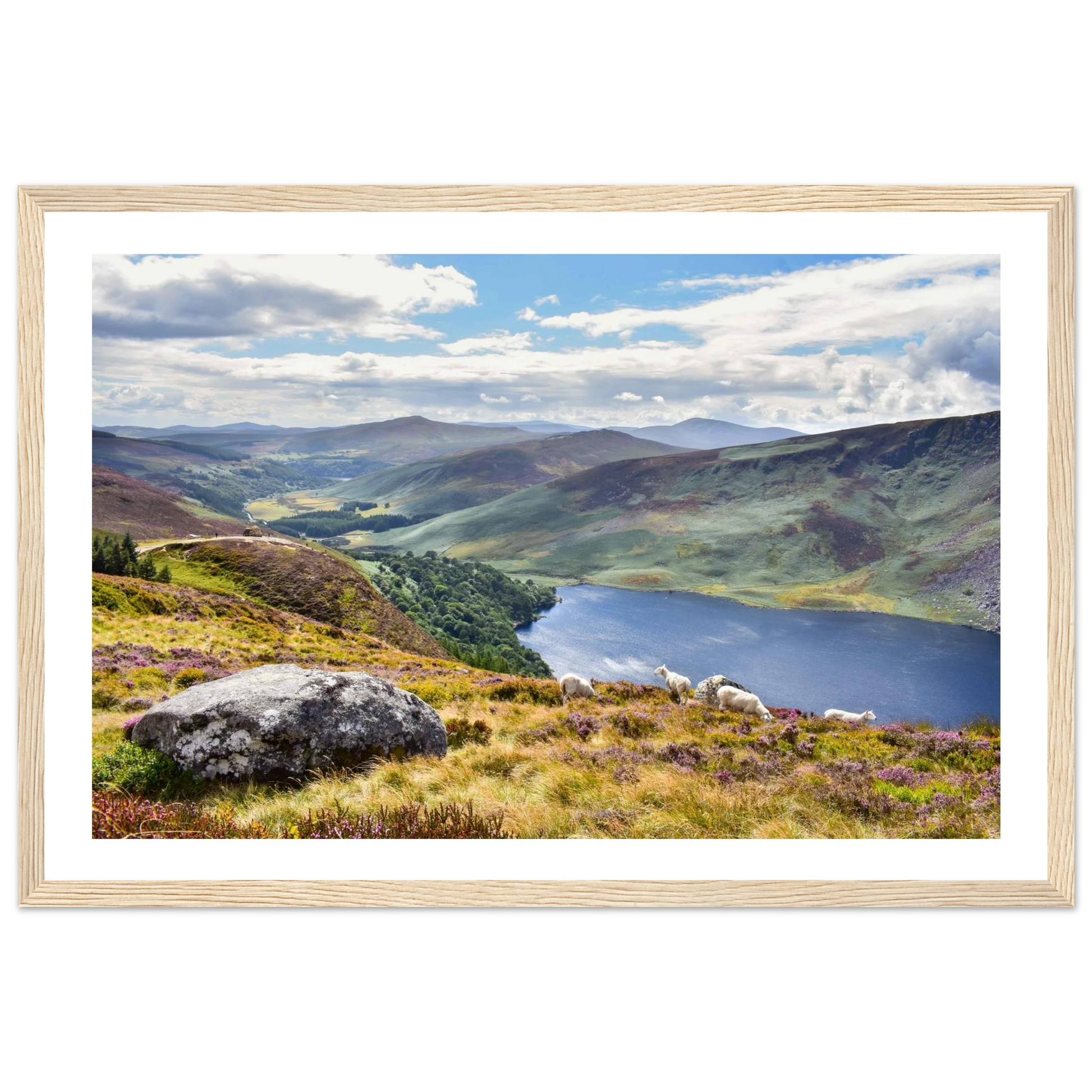 cc366572-0636-4ae7-bba5-23e63da13dbe