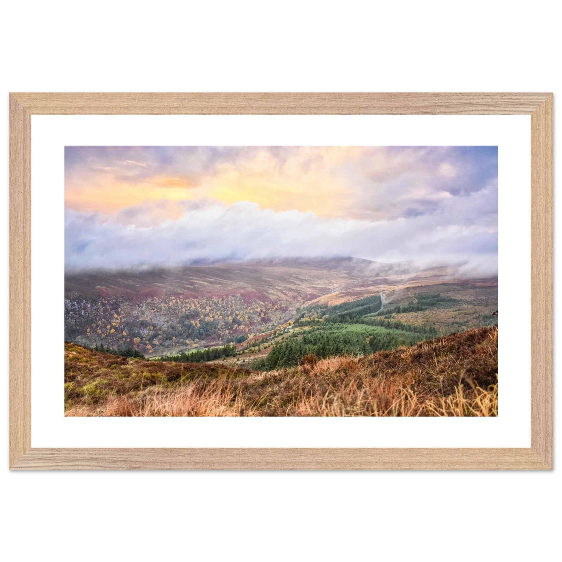 cc543f2d-f517-4845-a7a1-dfaab8fad695