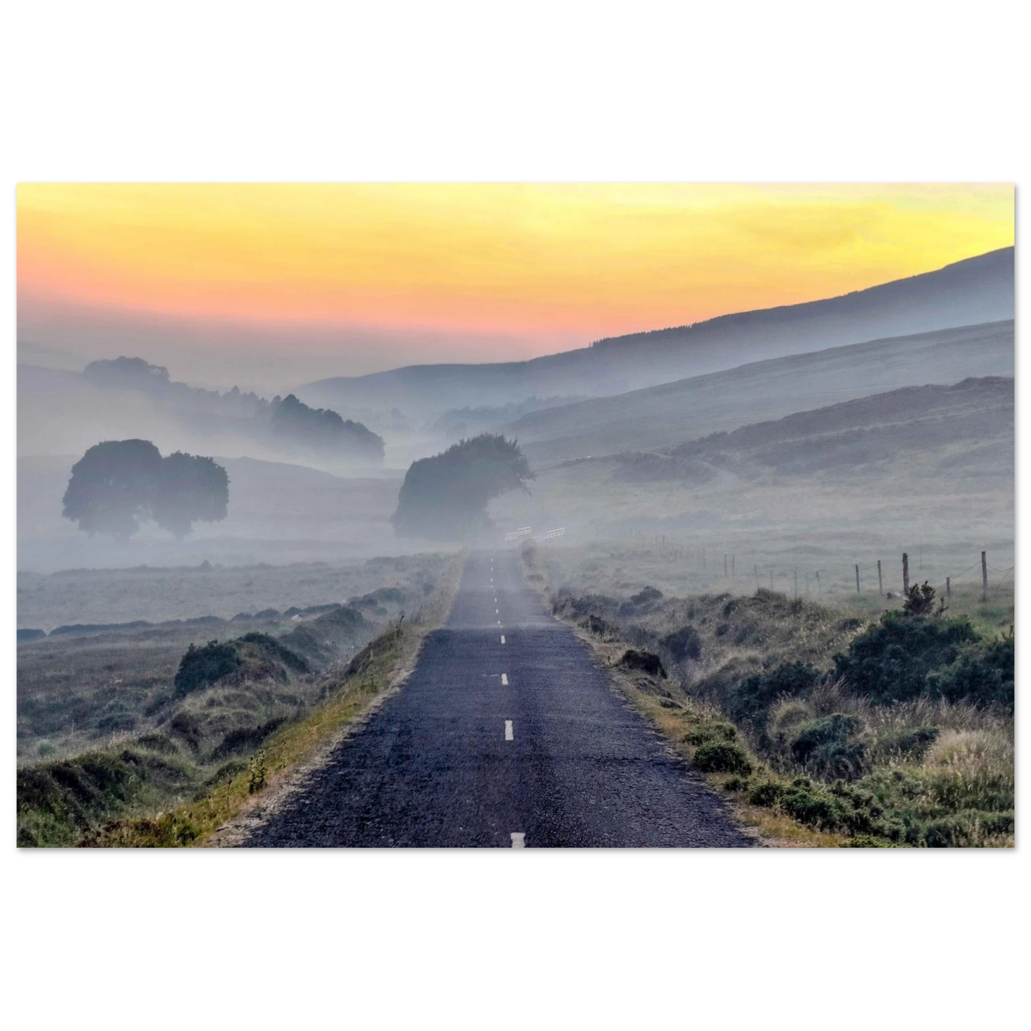 cc8b4605-b37b-4e31-b364-8aaefdcfbd1c