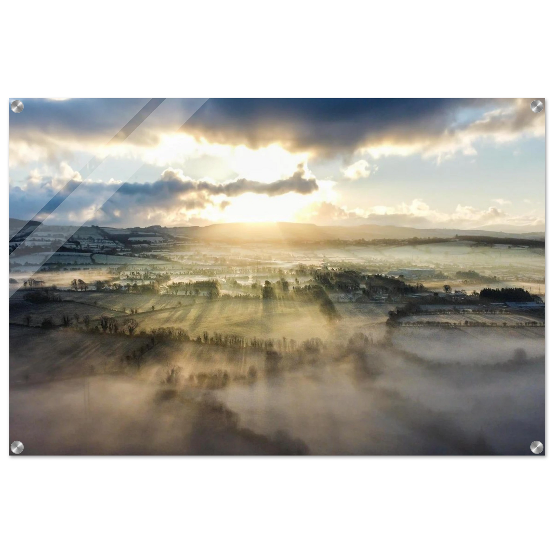 cd1eae56-9b39-4986-a509-a9178cdd6b3f