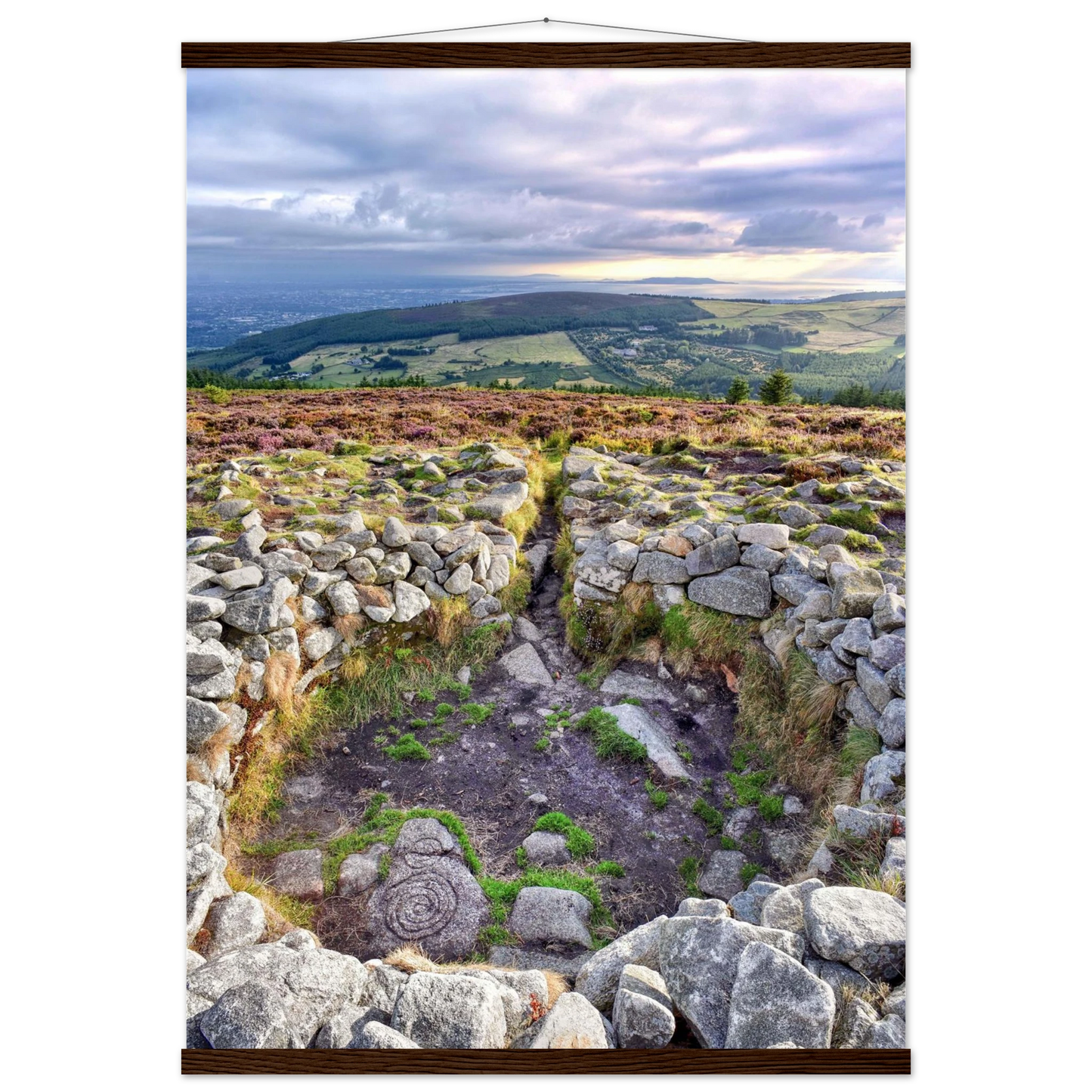 cd65e809-0dfc-473a-824a-370c93e5d185