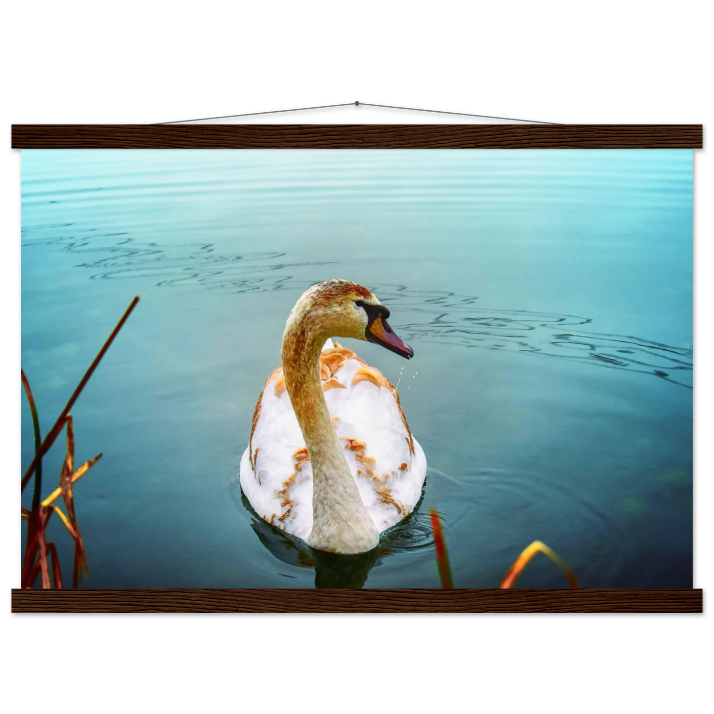 cd760c11-93a2-4e72-bdec-a1d1248ae8e5