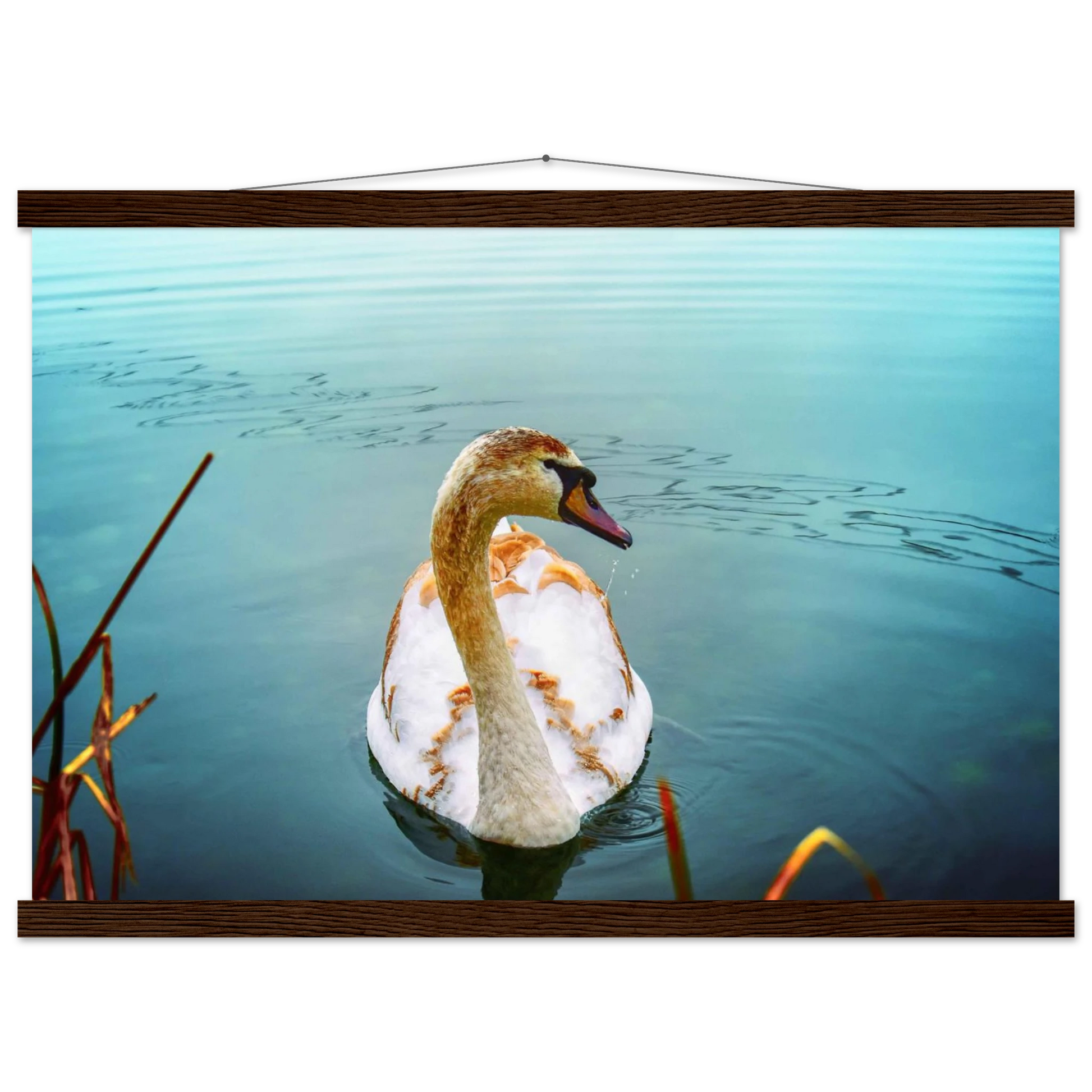 cd760c11-93a2-4e72-bdec-a1d1248ae8e5