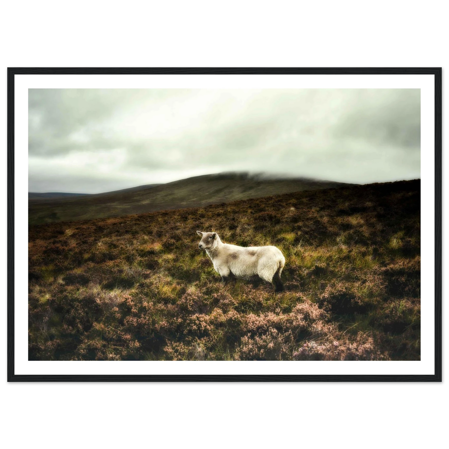 cde5bec6-9f23-4130-b25d-277fdd9af414