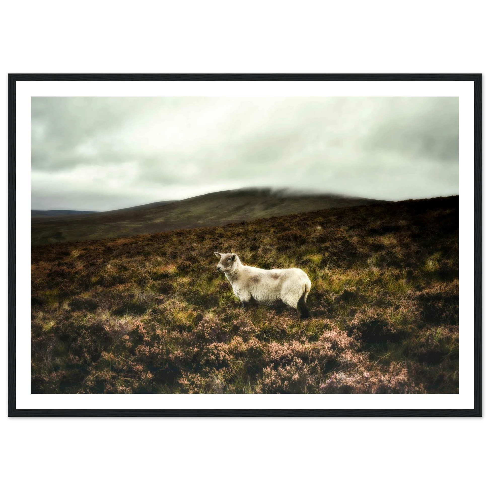 cde5bec6-9f23-4130-b25d-277fdd9af414