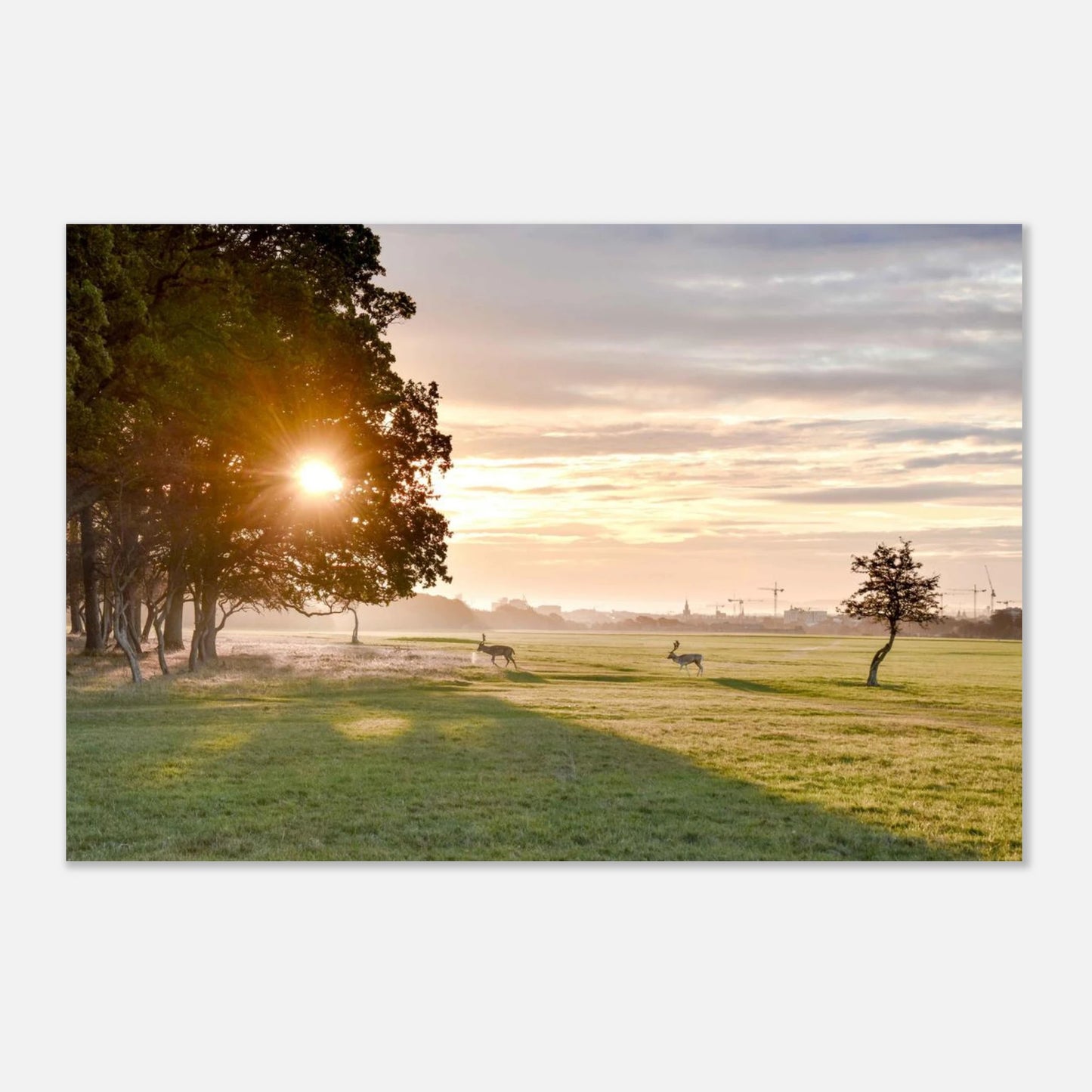 cdff17f6-0a13-480b-8848-55881d95fa12