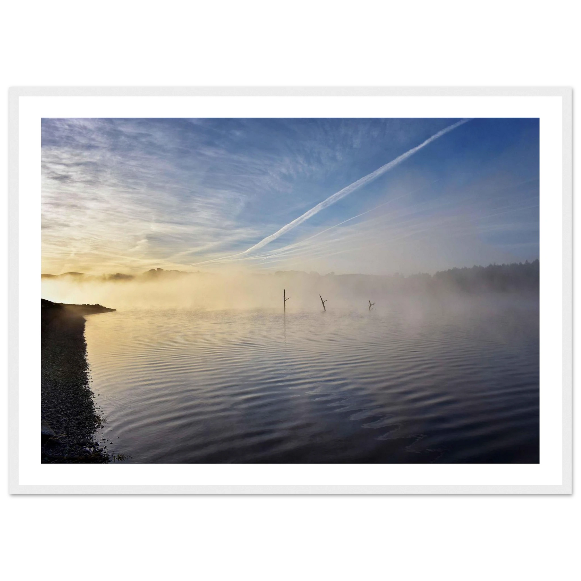 ce0fdf71-5670-4aed-a564-88cb68e8c5a0