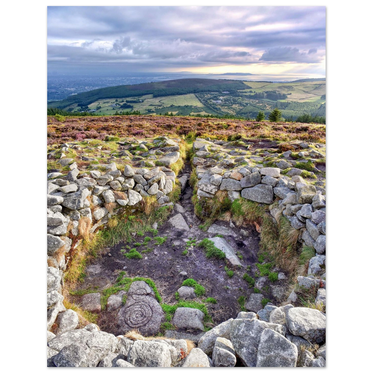 ce1765a6-2c7b-4baf-bd72-f6259fc006ad