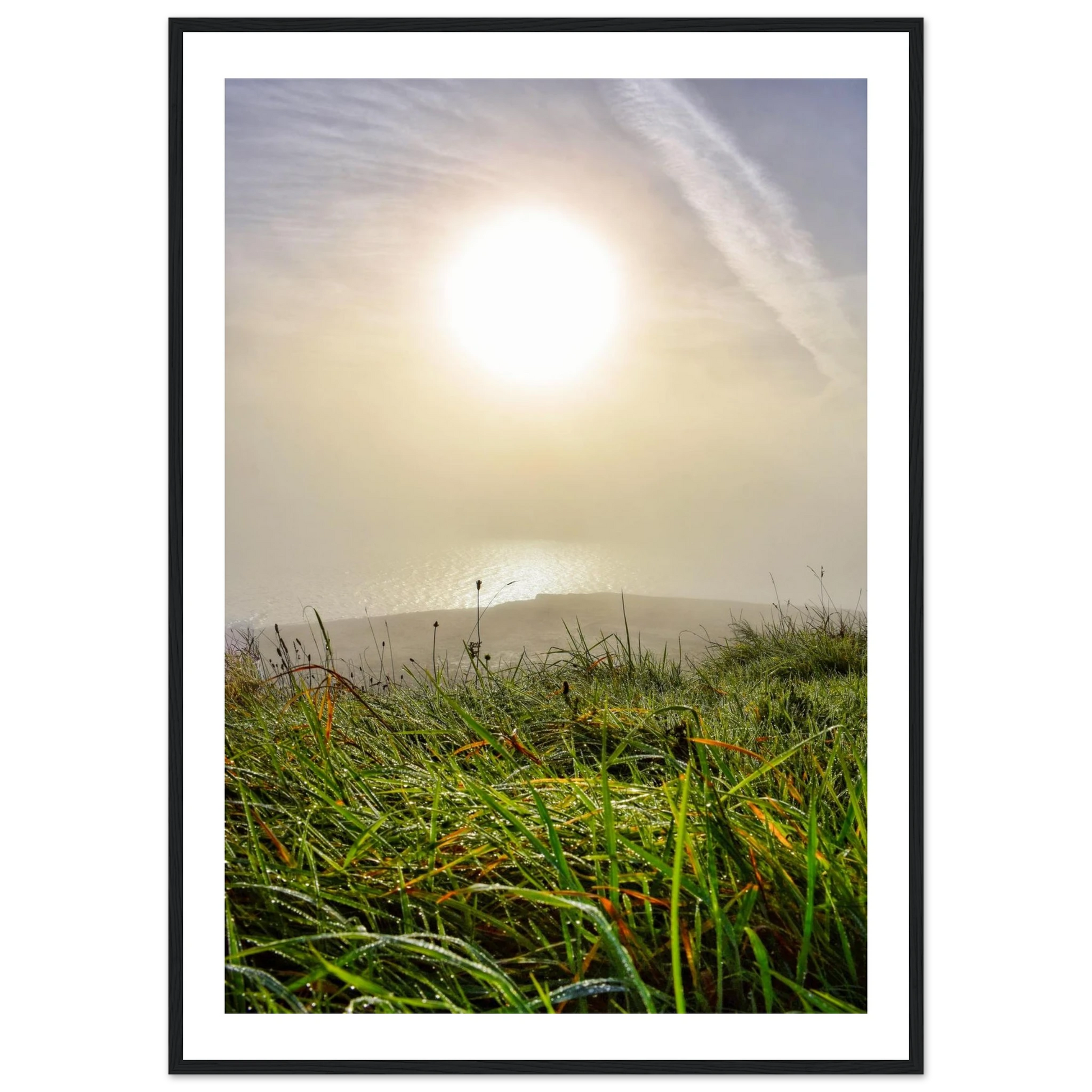 ce260733-0c38-435c-88d9-8fe51e7830e3