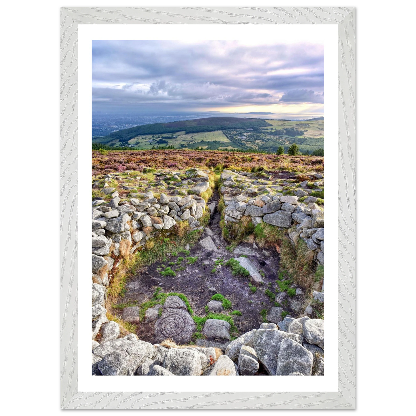 ce2ac982-a966-4711-8292-fe199055aab2