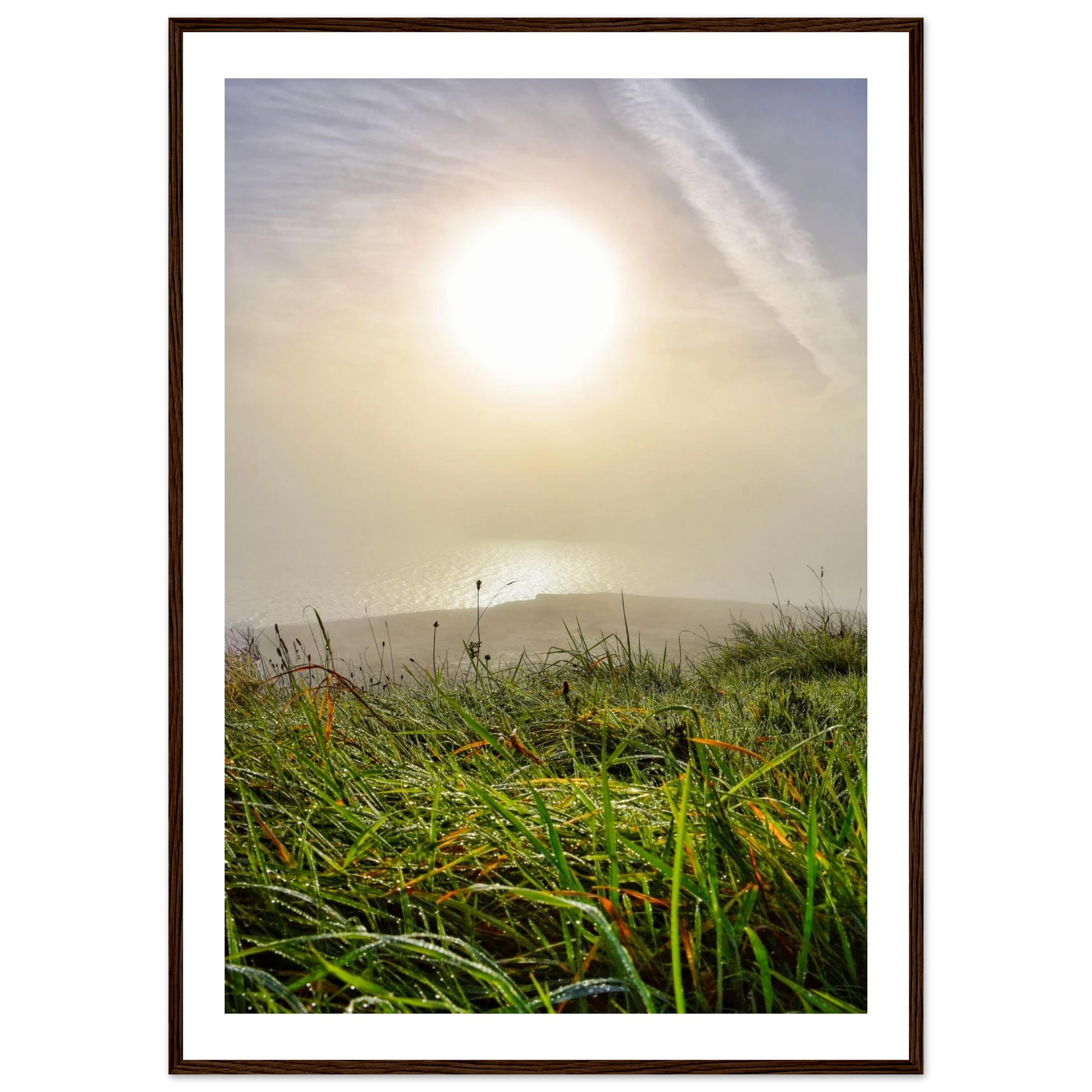 ce337032-da9a-45d5-9757-89ac1a865a73