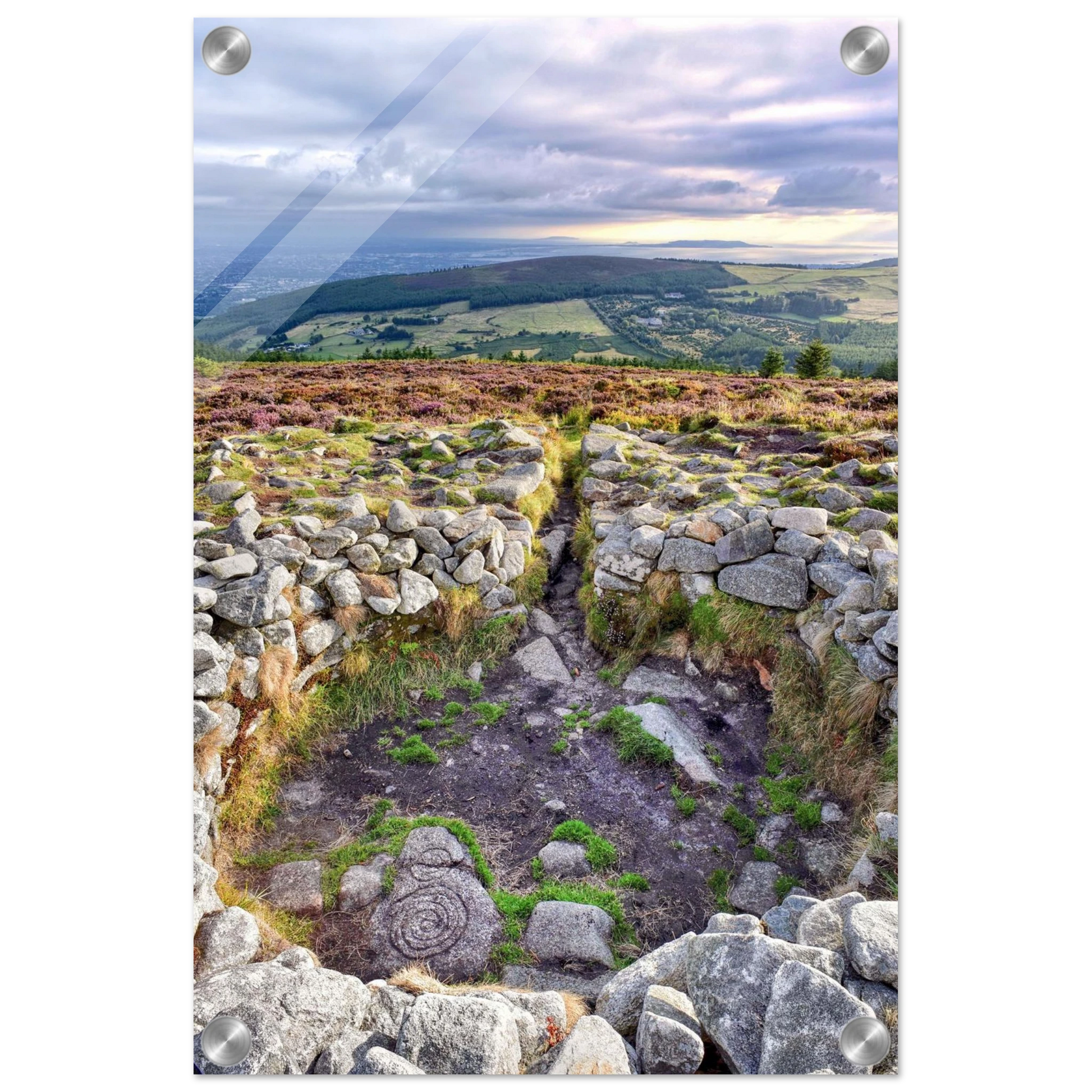 ce4bd298-8dc0-4d7a-8c22-fce9b303a4f1