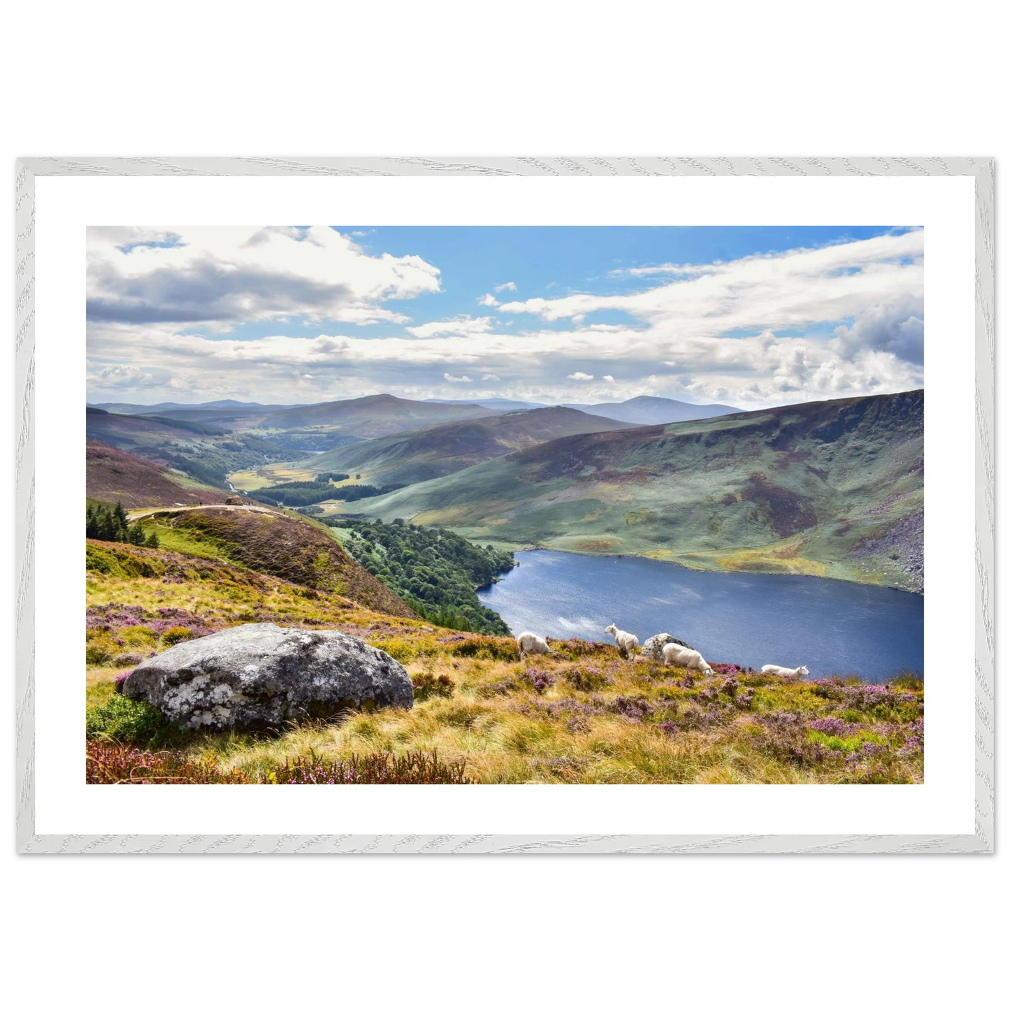 cf35136d-fc48-4326-89ff-548fa81b7e80