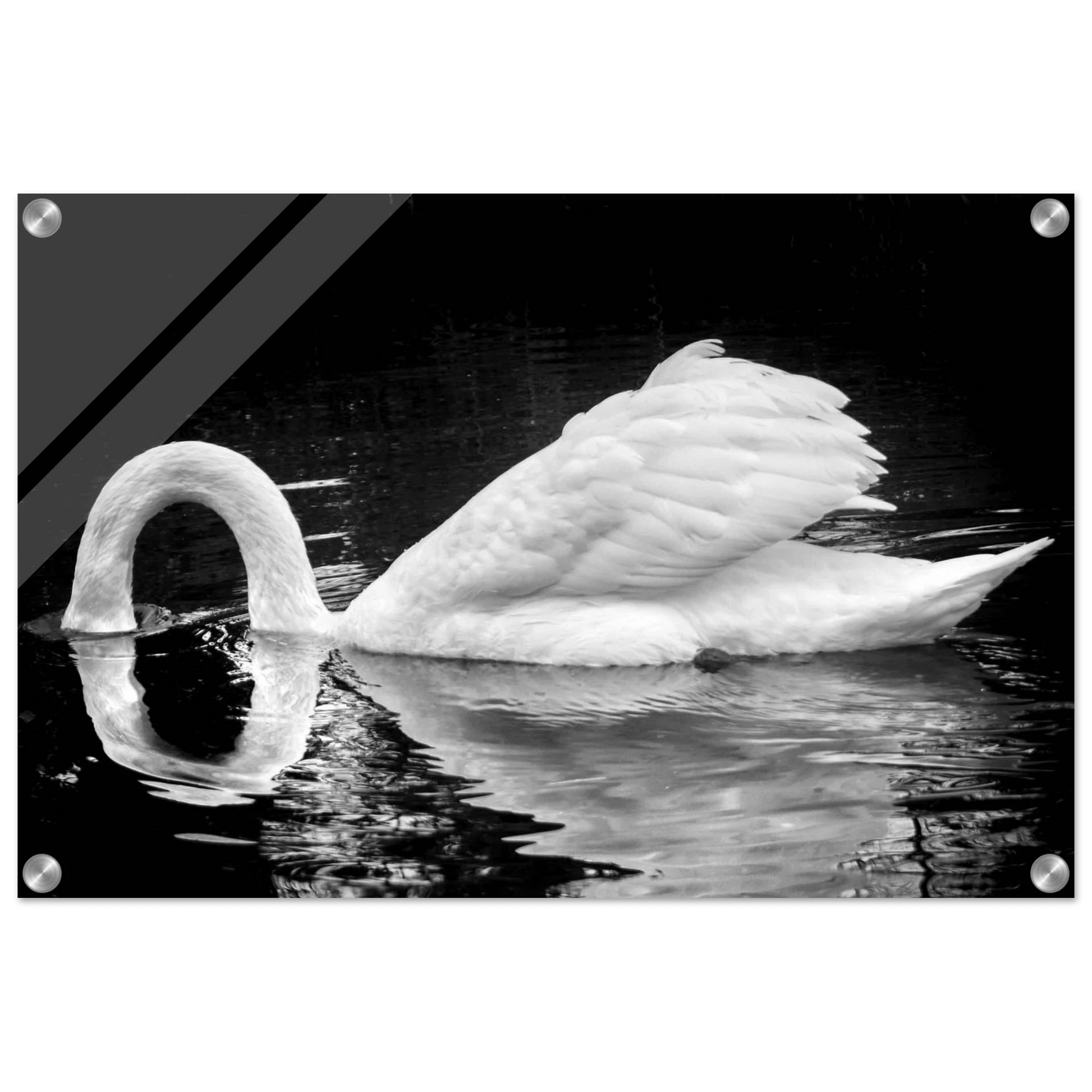 cf7a2b00-b2dd-49ab-aeb2-fdb01ea56d78