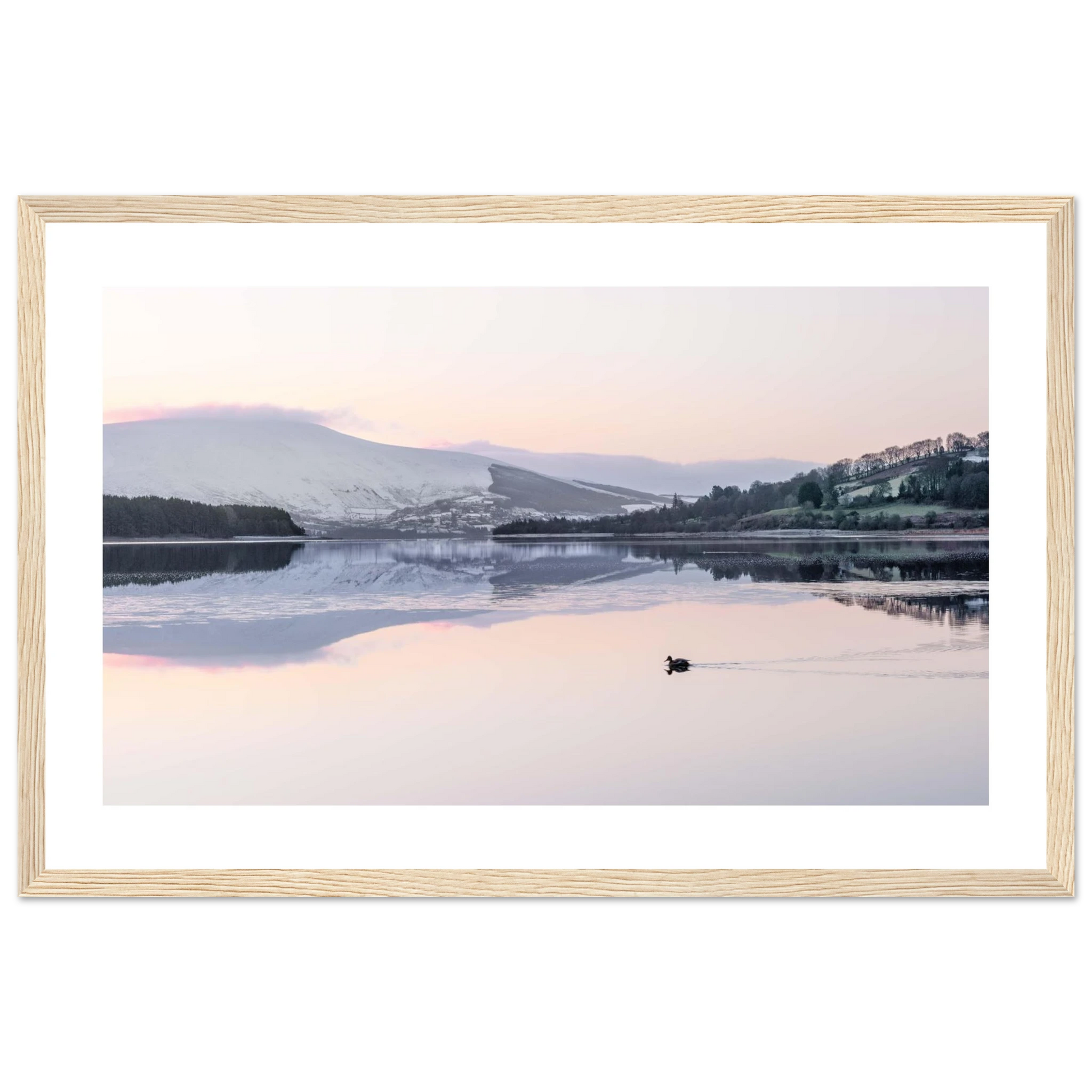 cfc1df67-d4fa-4a34-b976-fa287a976583