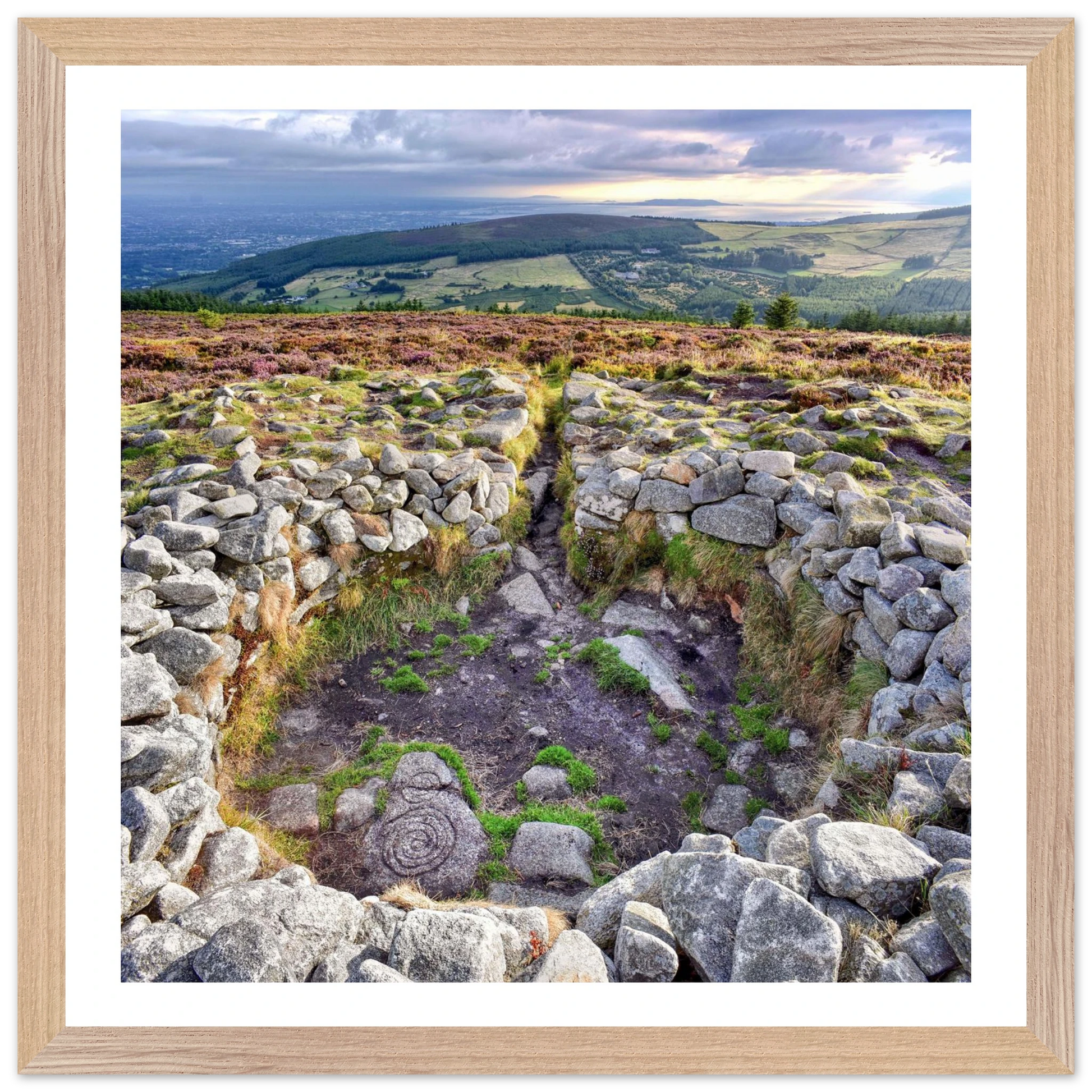 cff3a939-4ce5-4ee1-ad61-4e42f4c8da9a