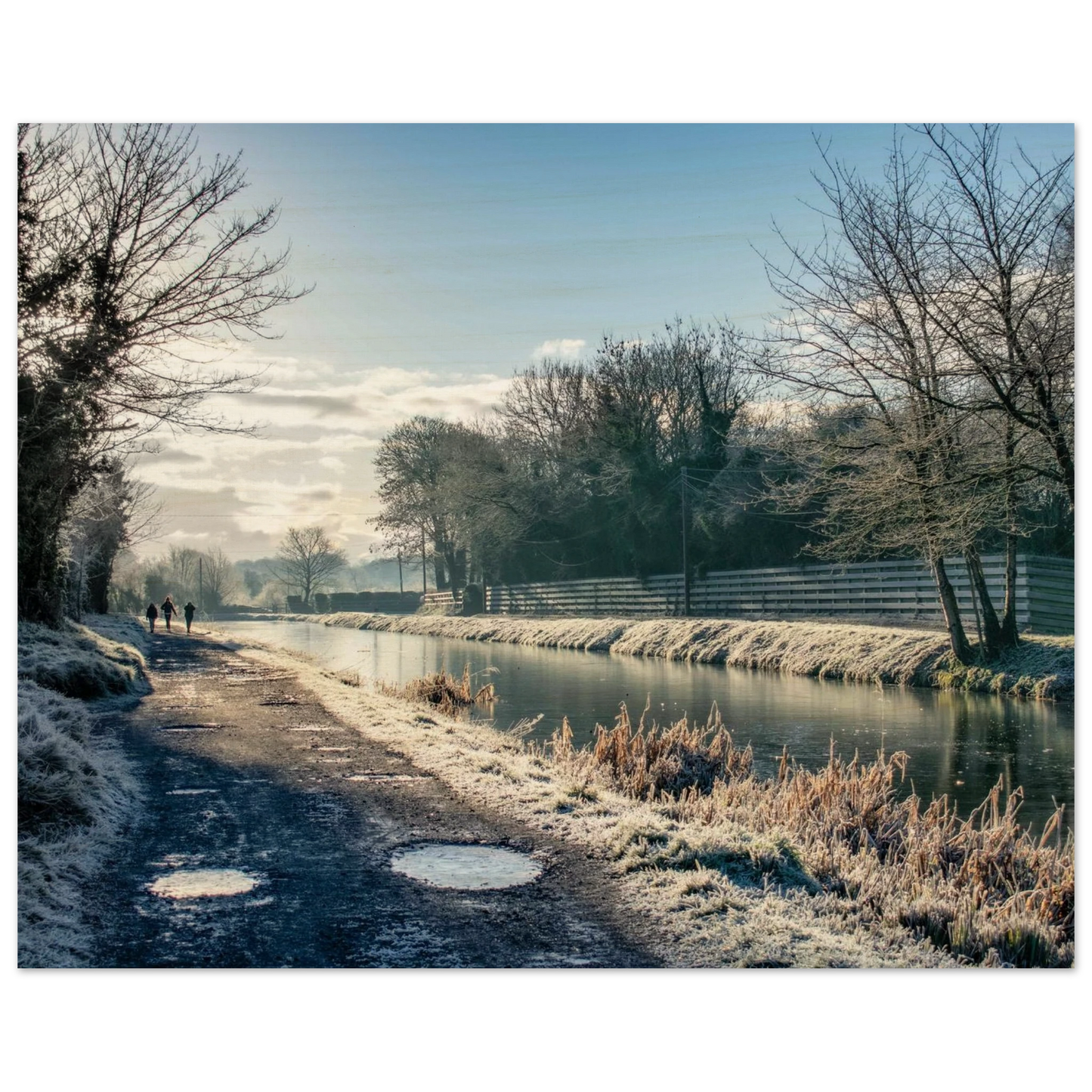 d04bd05f-011c-413f-961c-0484bb7e68fe