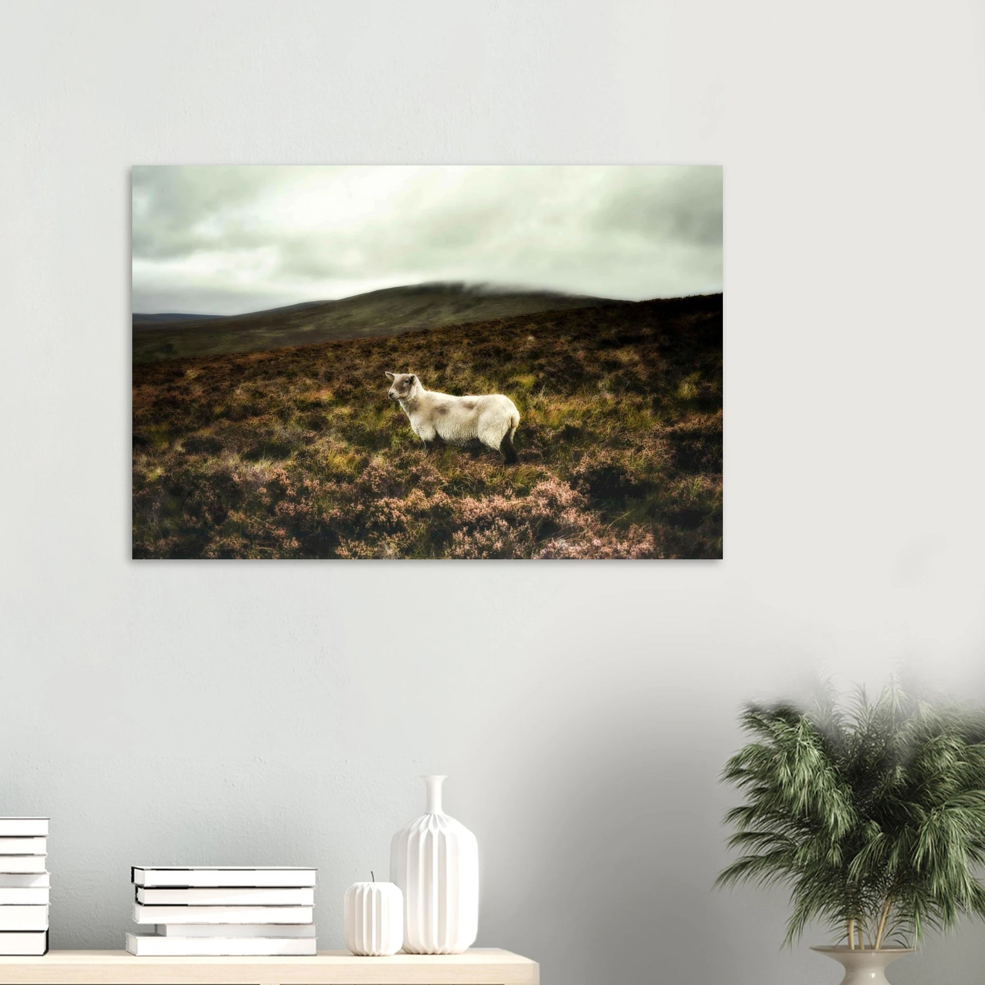 d0787c7c-abc2-416b-a0c9-41ccac370d34