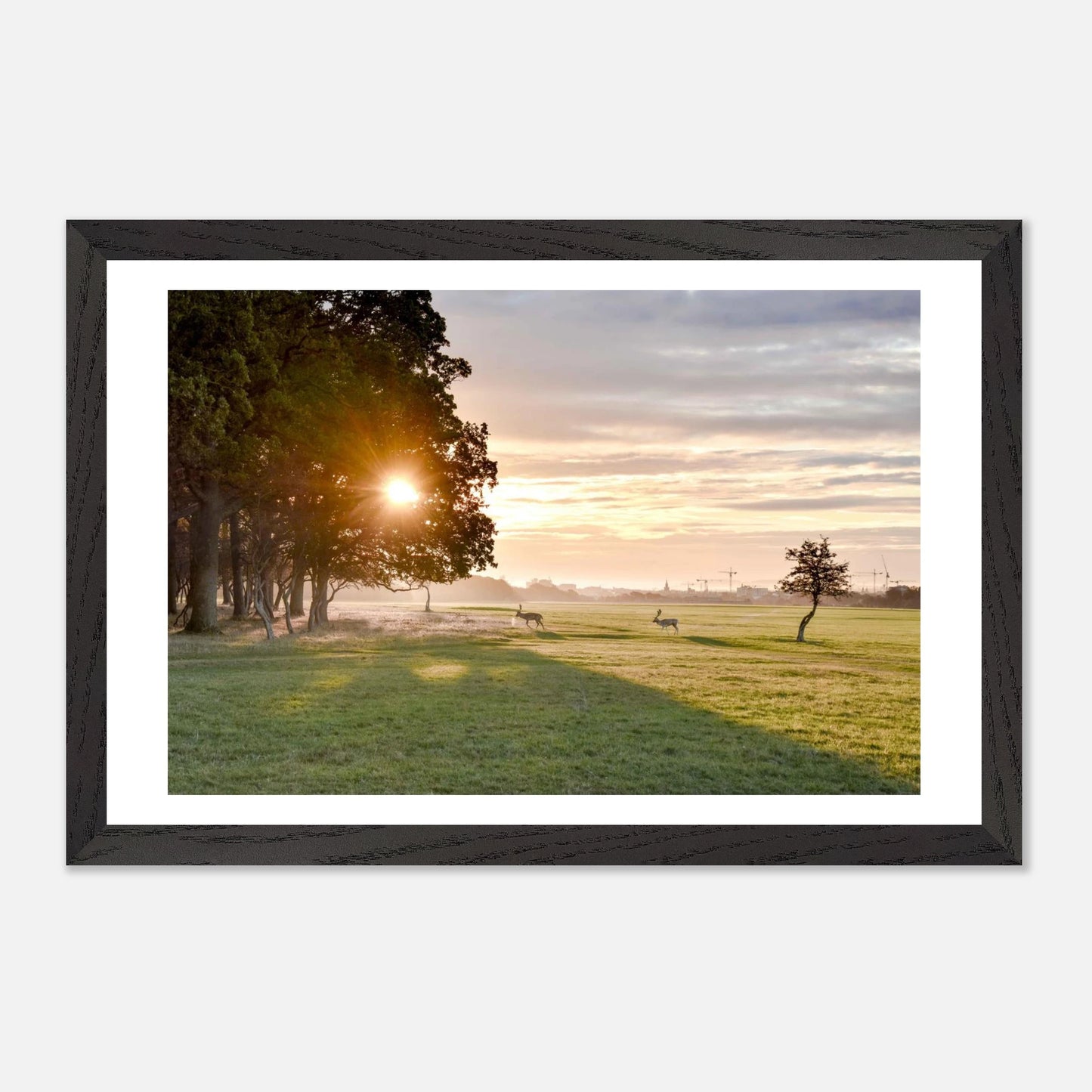 d0eb556d-27ed-4a86-9b44-9056e579eebb