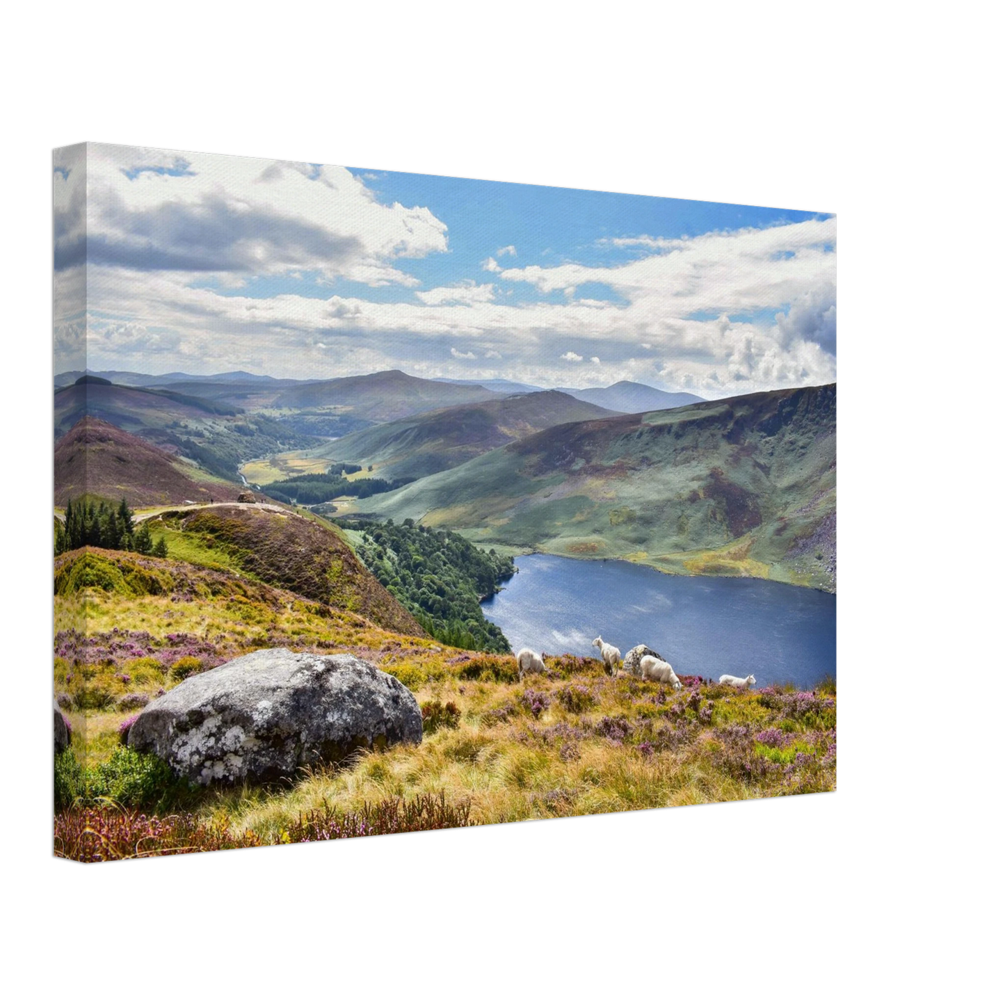 d1eaf144-d20d-4215-97ae-52099d3465bf