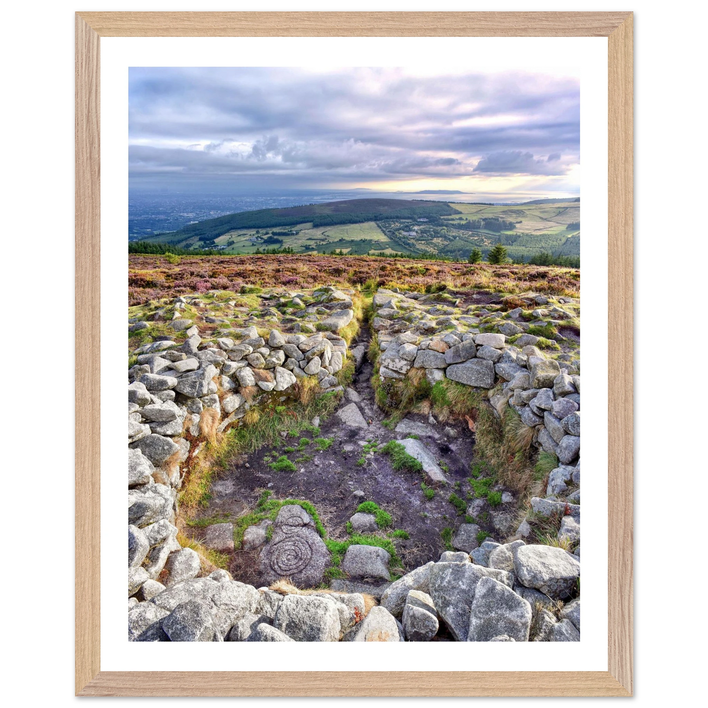 d281ddb3-50aa-4aa9-9026-0988848ab4b6