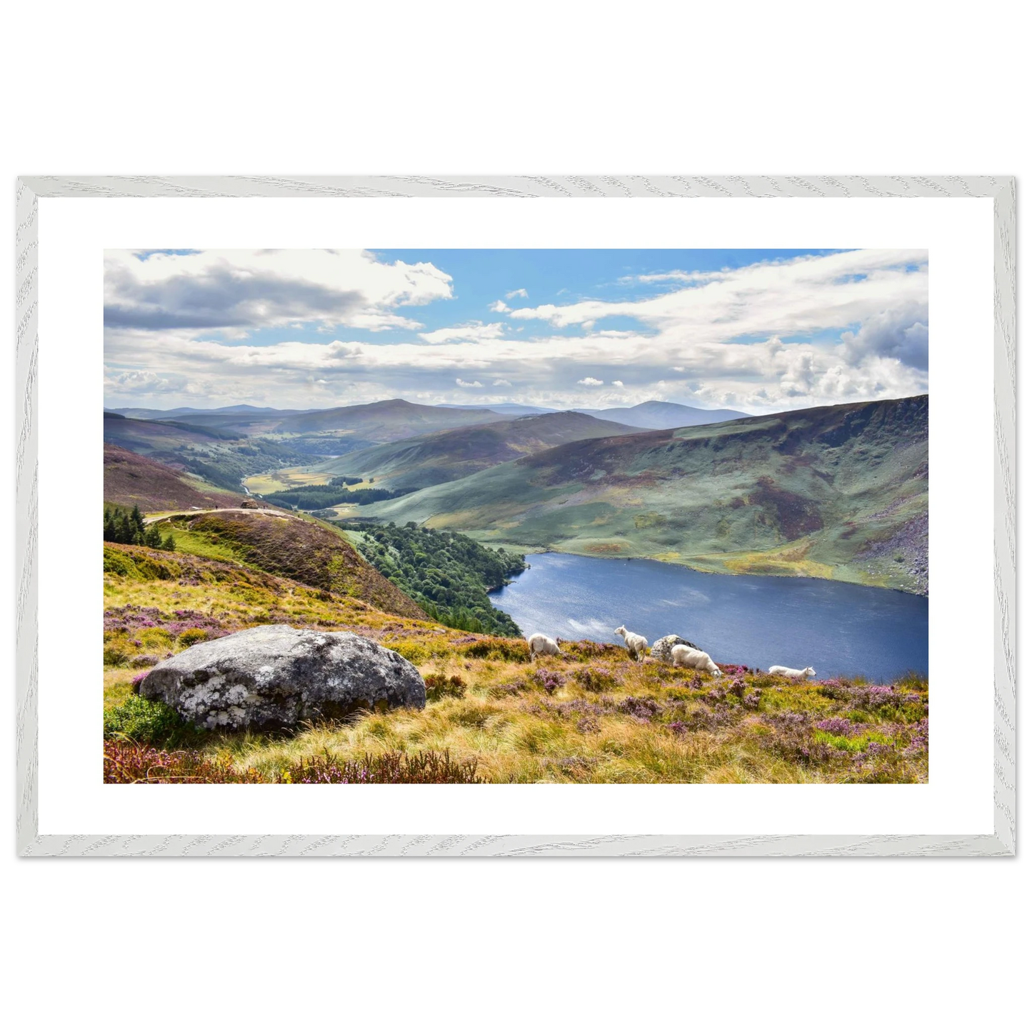 d2ca7959-fddc-4287-9258-64b88fd6dab2