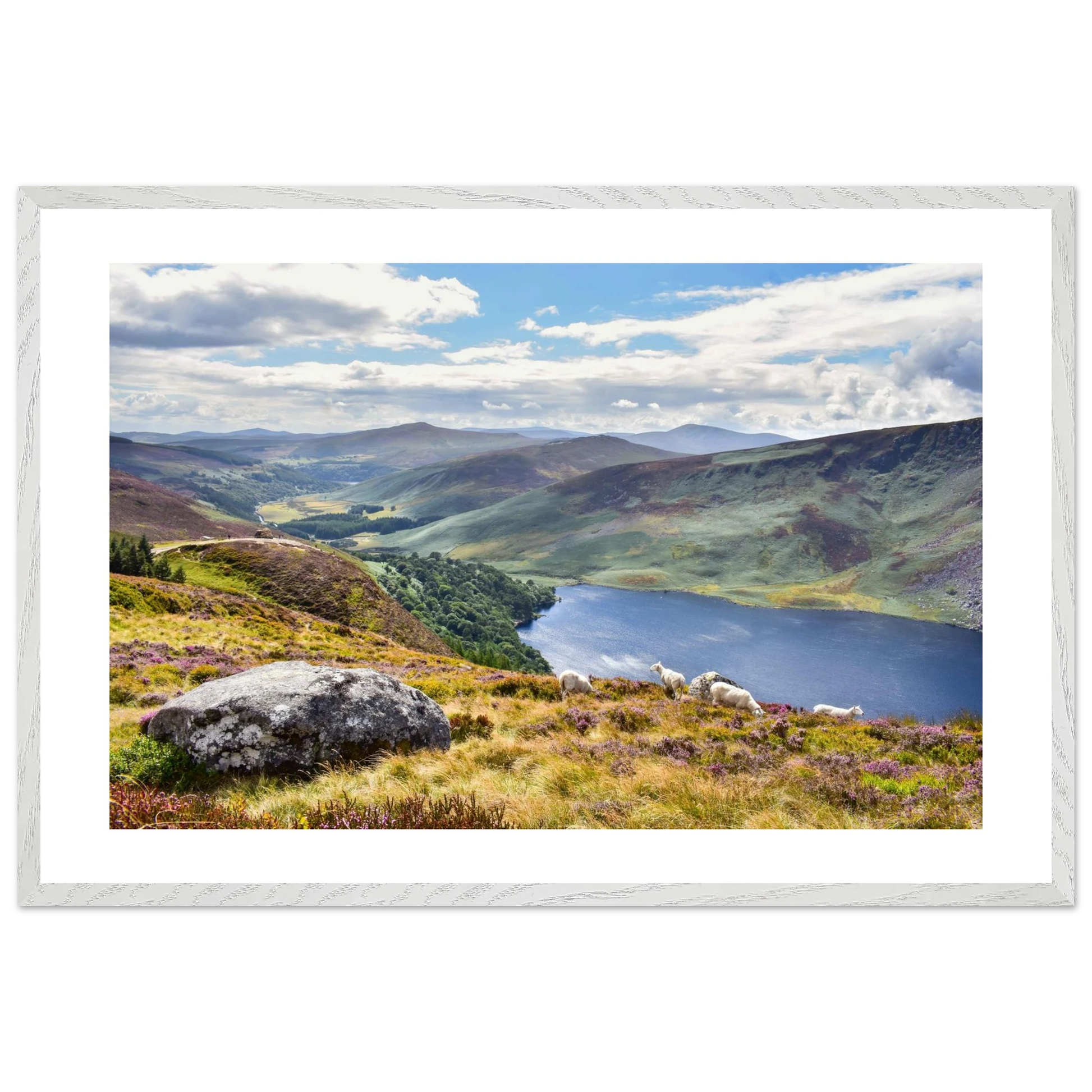 d2ca7959-fddc-4287-9258-64b88fd6dab2